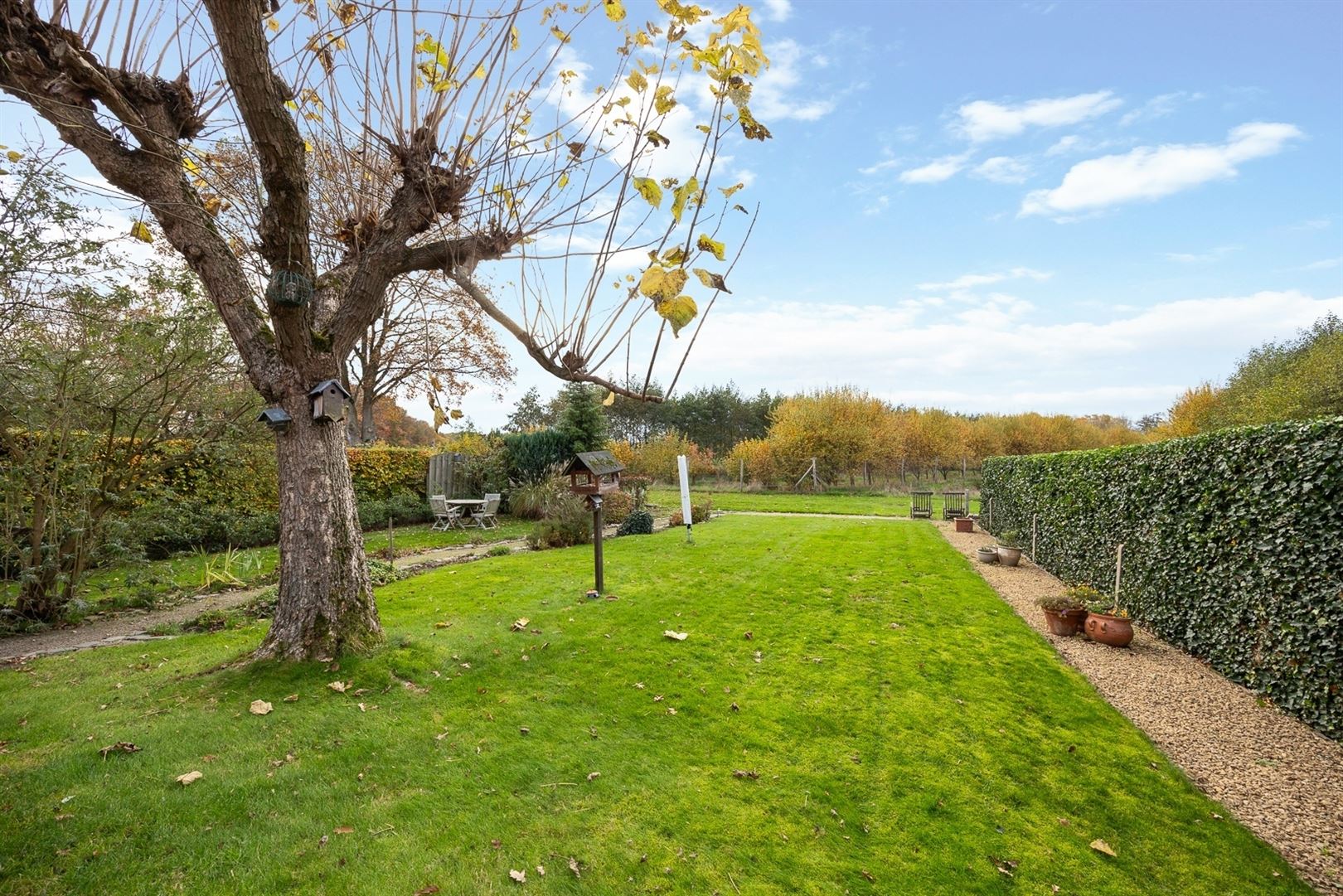 Charmante woning met prachtig groen en open zicht foto 12