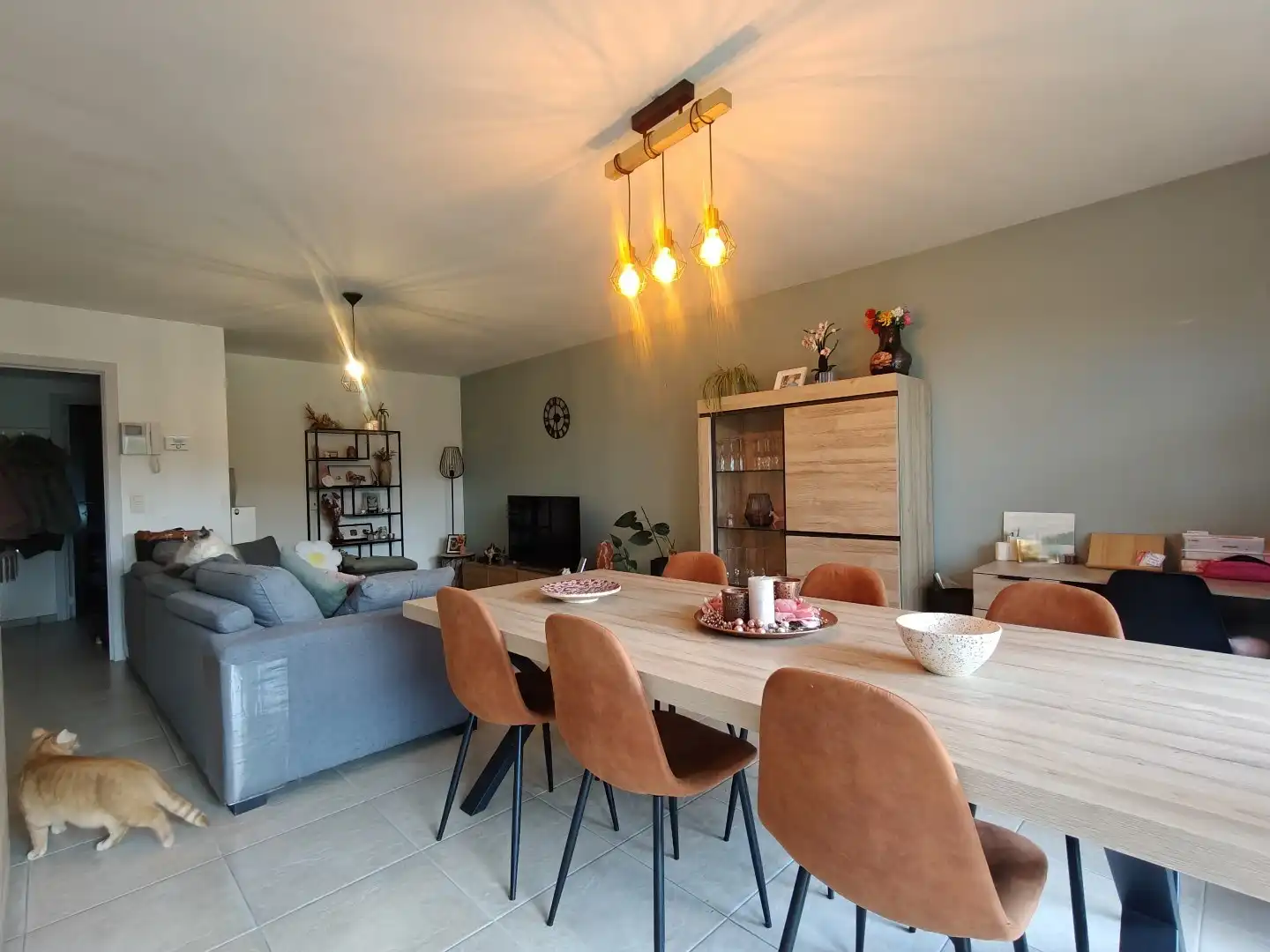 Gelijkvloers appartement te Lokeren - Blaasmolenstraat foto {{pictureIndex}}