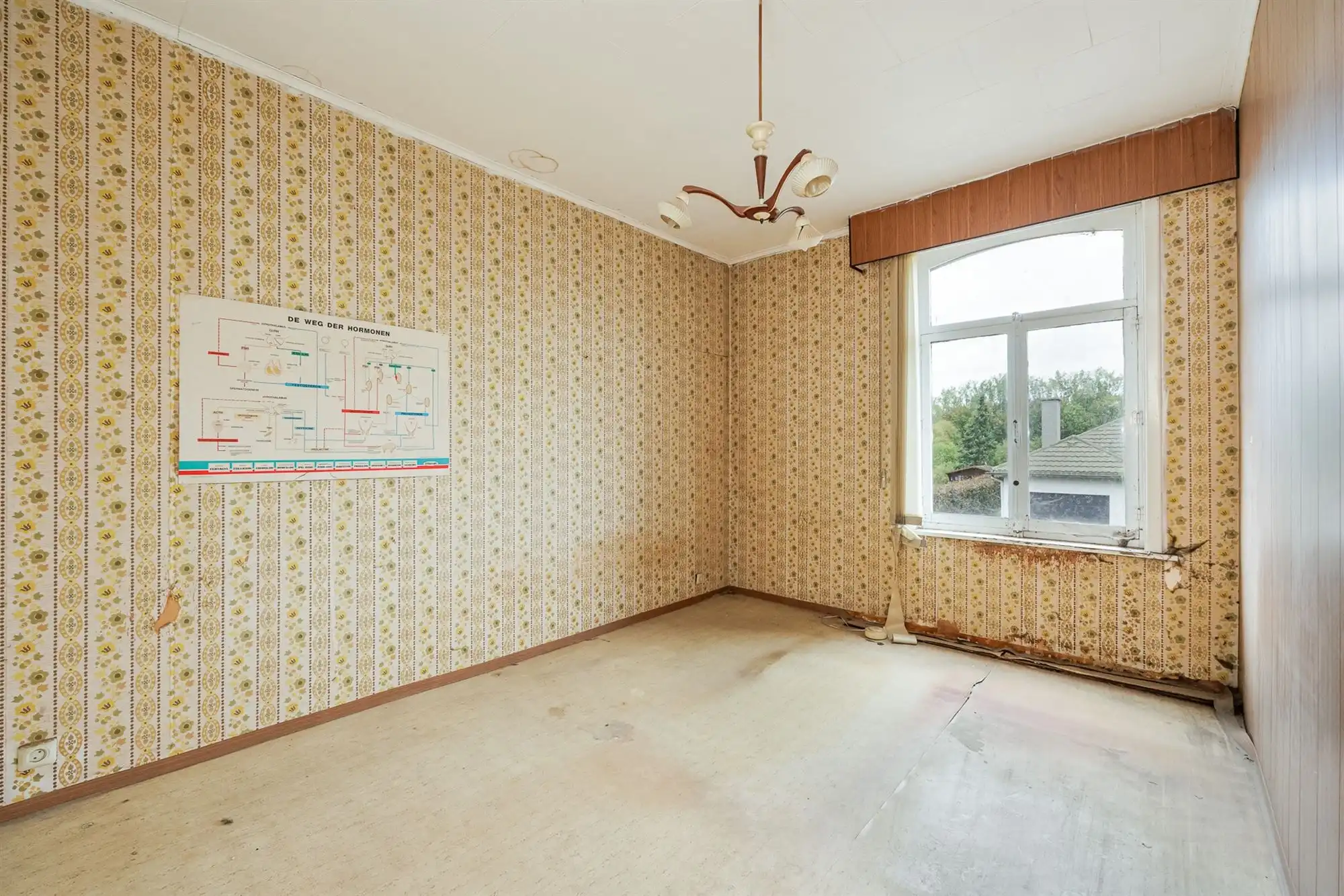 Te renoveren woning met garage, oprit en tuin foto 9