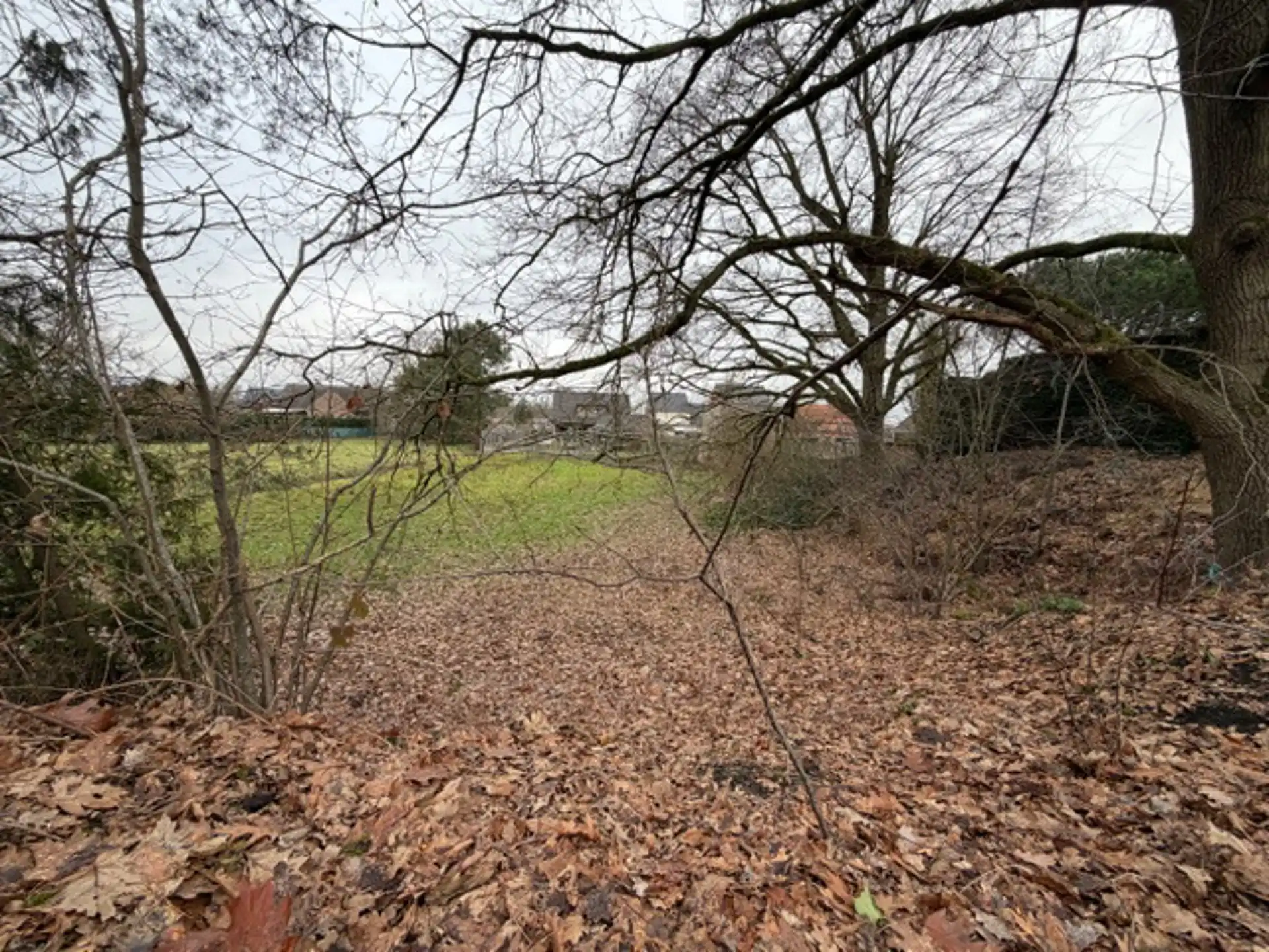 Bouwgrond voor open bebouwing in een doodlopende straat foto 6