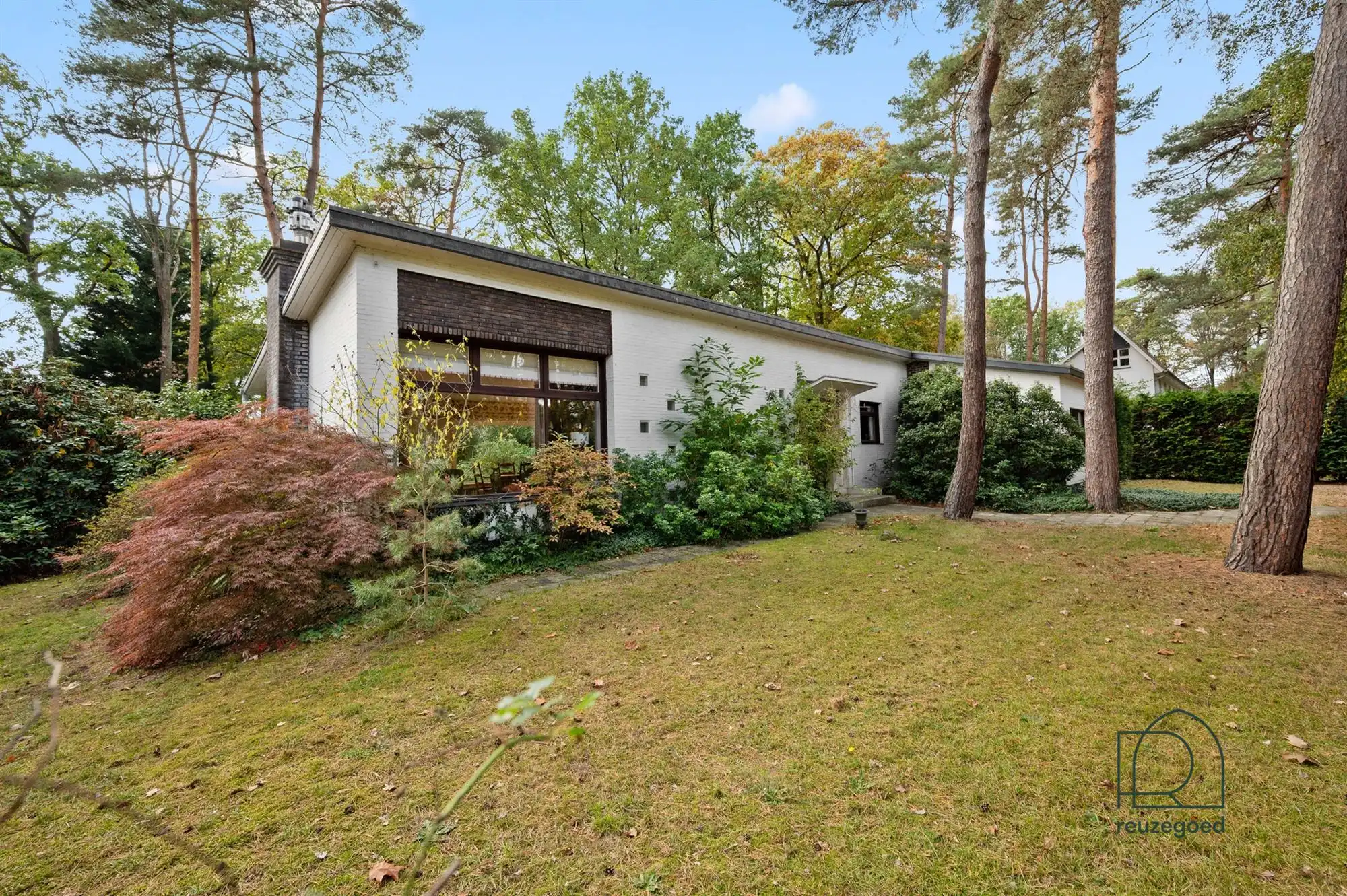 Unieke bungalow (4 slaapkamers) in het groen van Bonheiden  foto 2