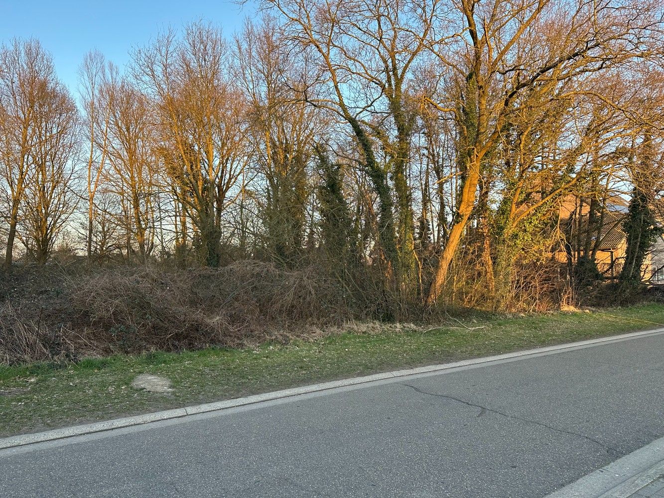 Perceel grond in woonuitbreidingsgebied te koop foto 2