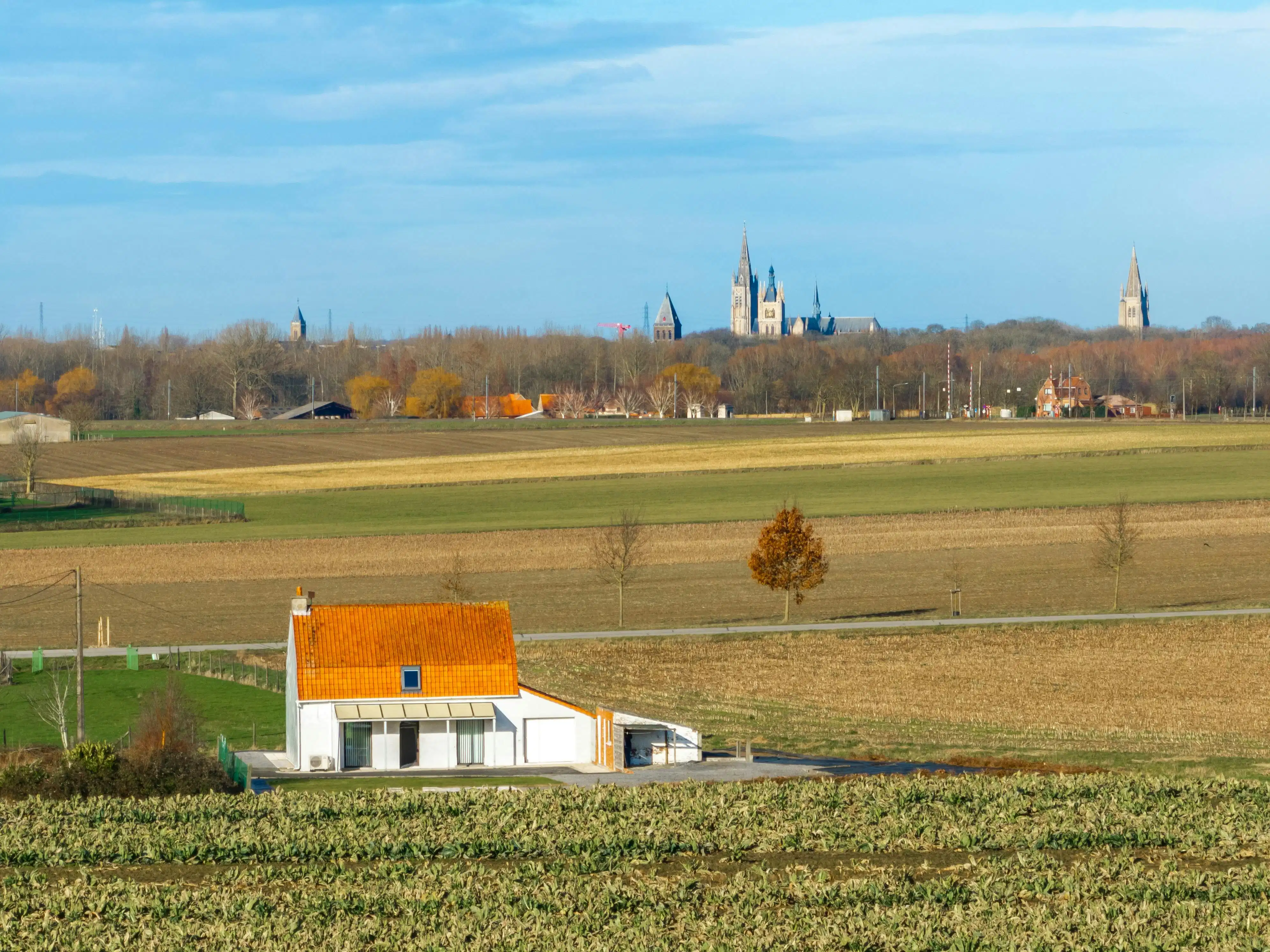 Huis op 1.007 m² te koop in Zillebeke  foto 5