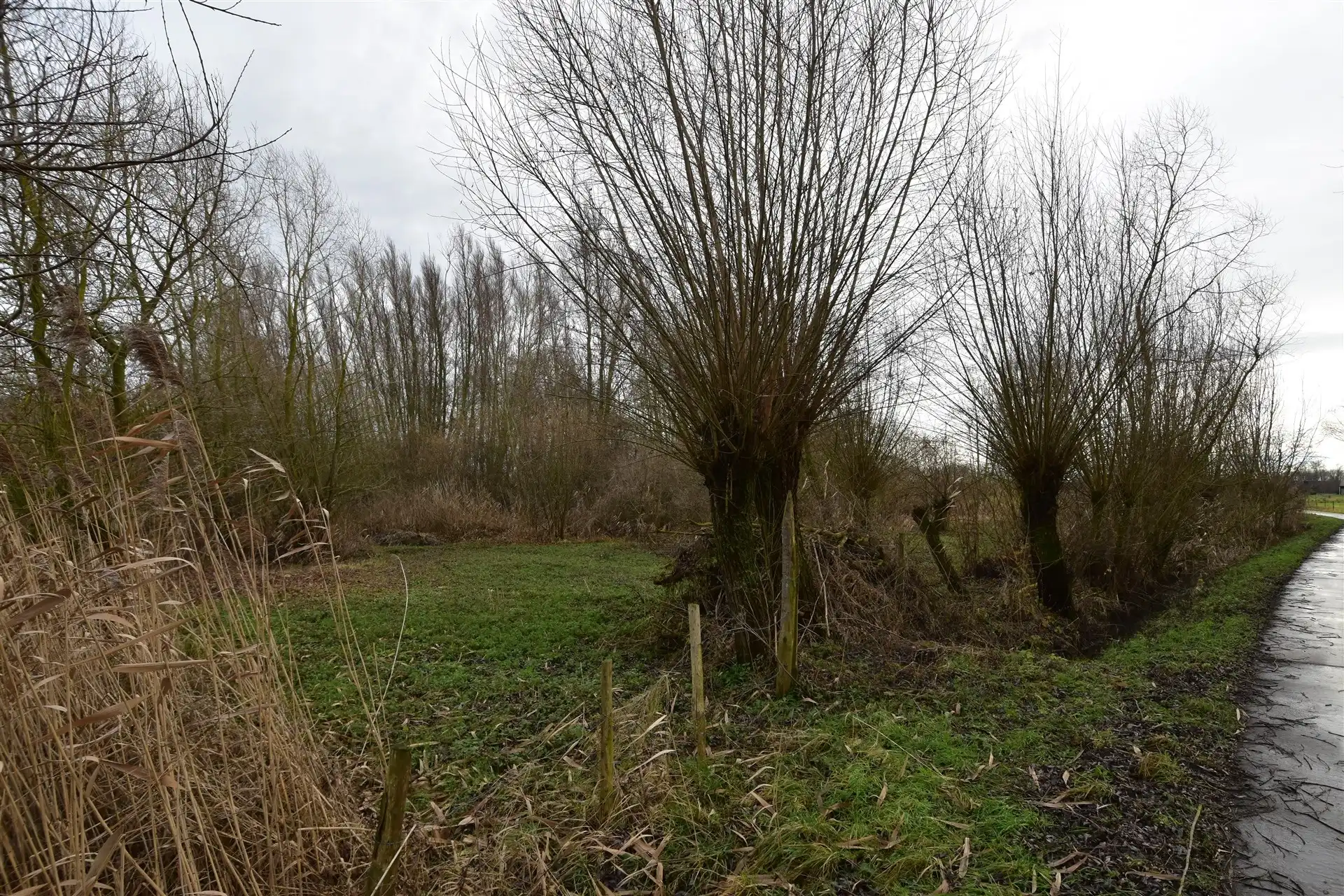Prachtig stuk bosgrond in landelijke omgeving – Appels. foto {{pictureIndex}}