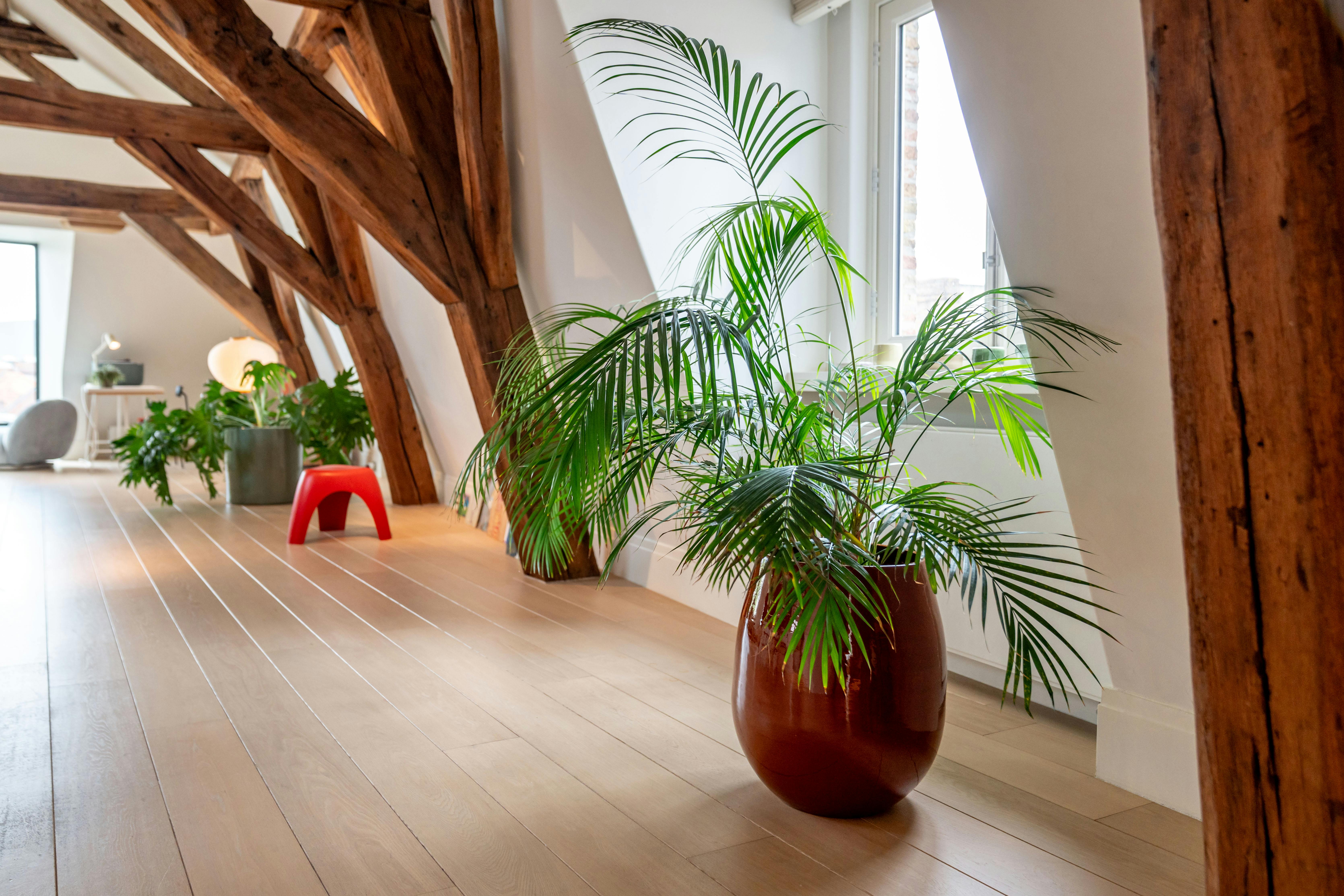 Exclusieve penthouse met historisch uitzicht in hartje Brugge foto 21