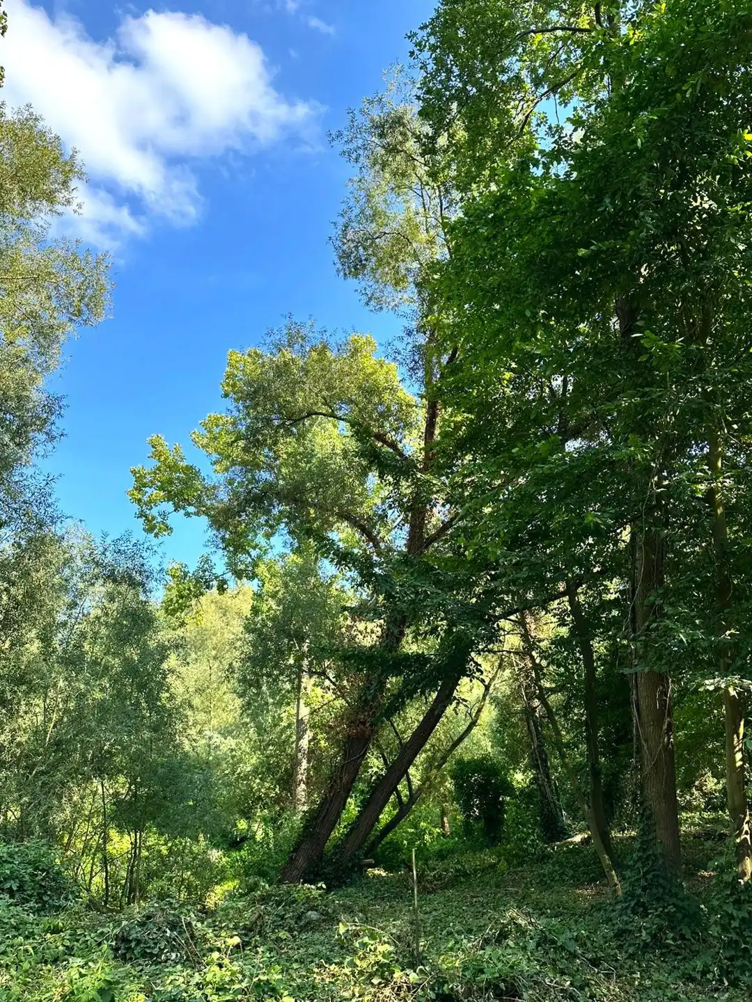 Villa te koop foto 20