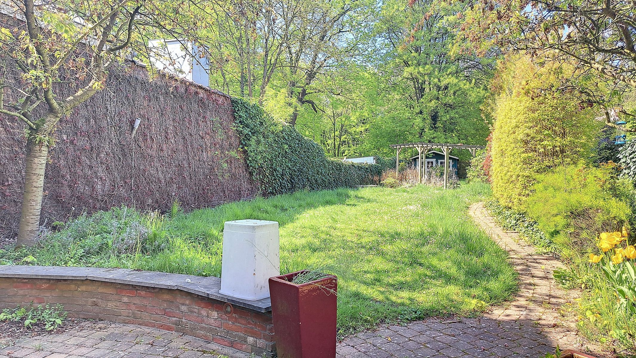 Huis te huur foto 4