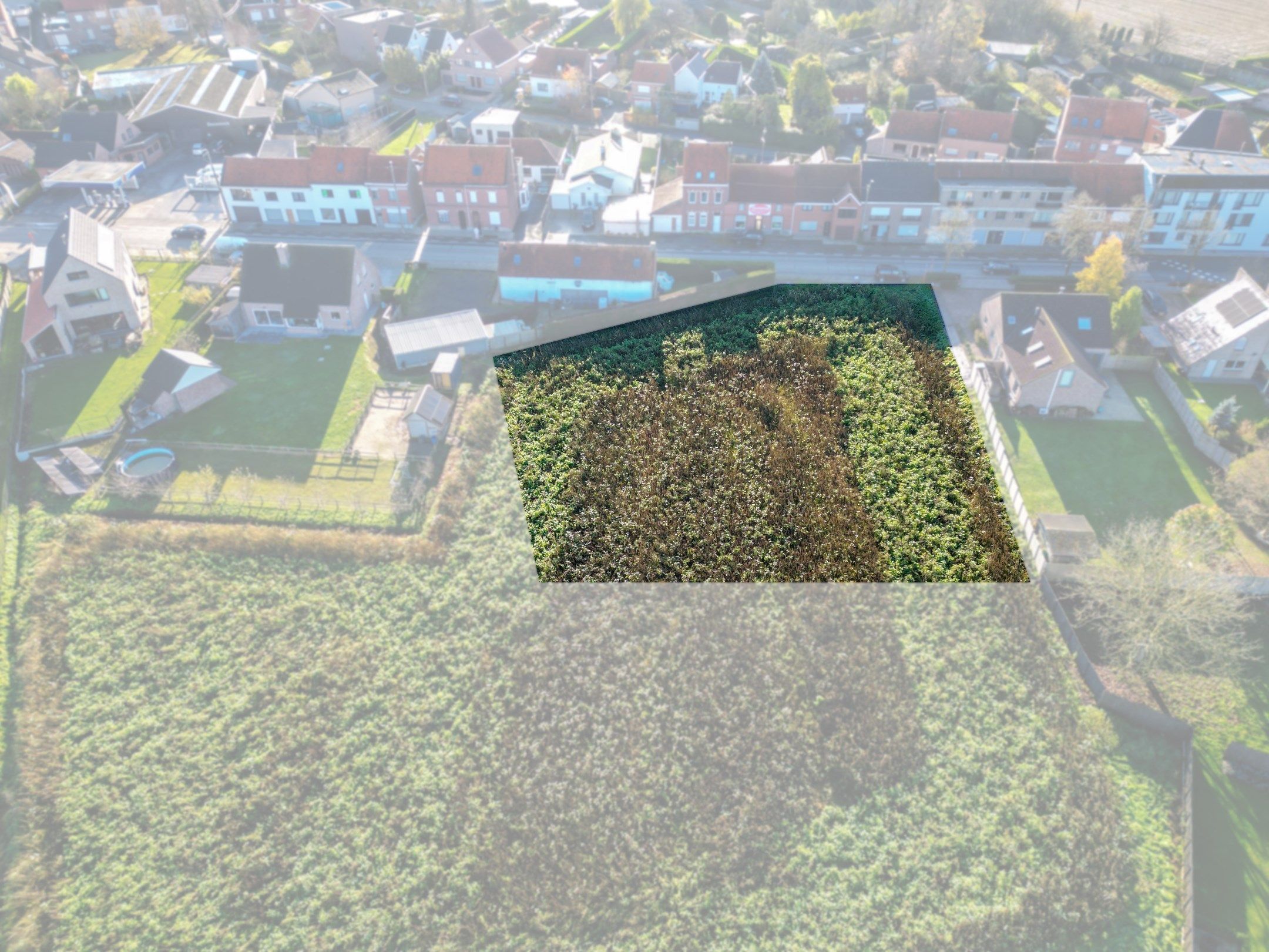 BOUWGROND MET VERZICHT foto 5