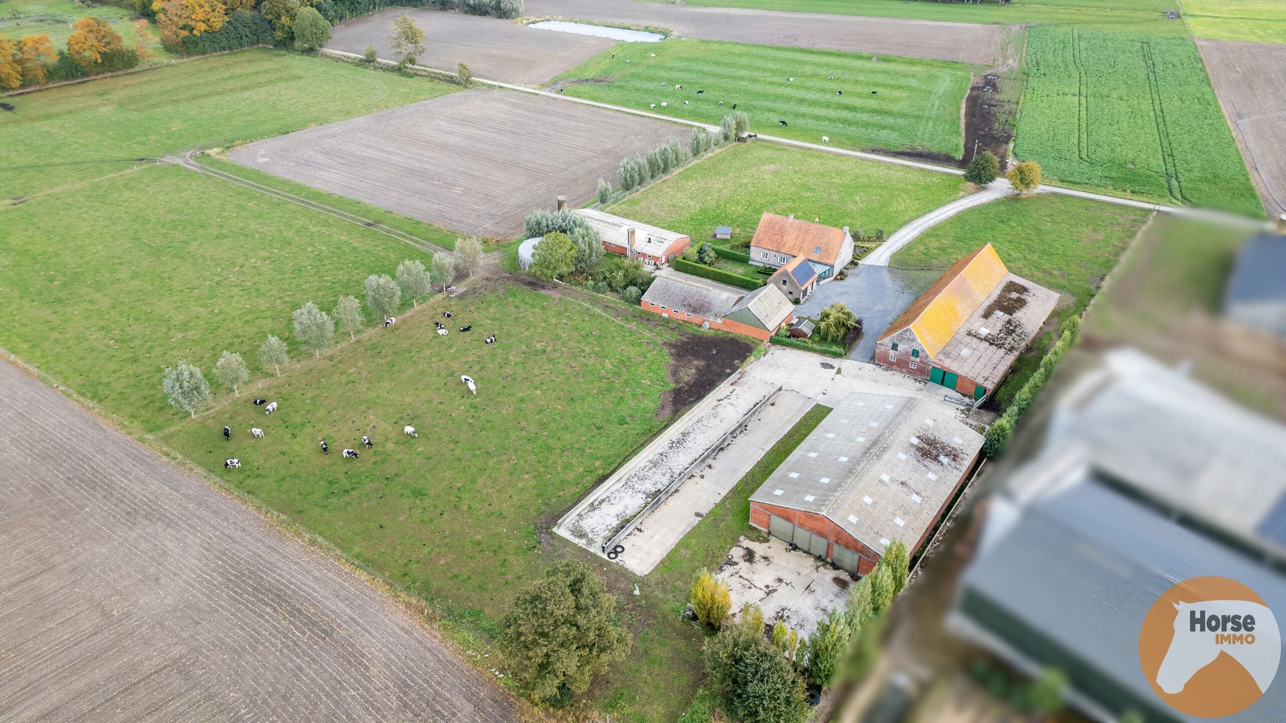 AALTER - Landbouwbedrijf op +/- 1,8HA foto 5