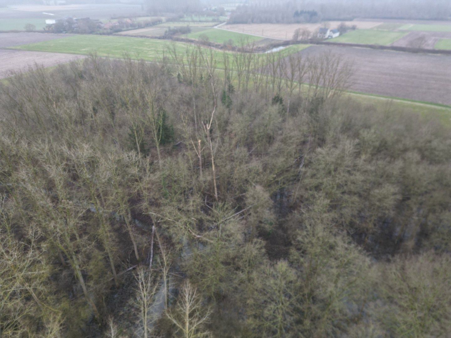 Percelen bos te Rotselaar. foto 10