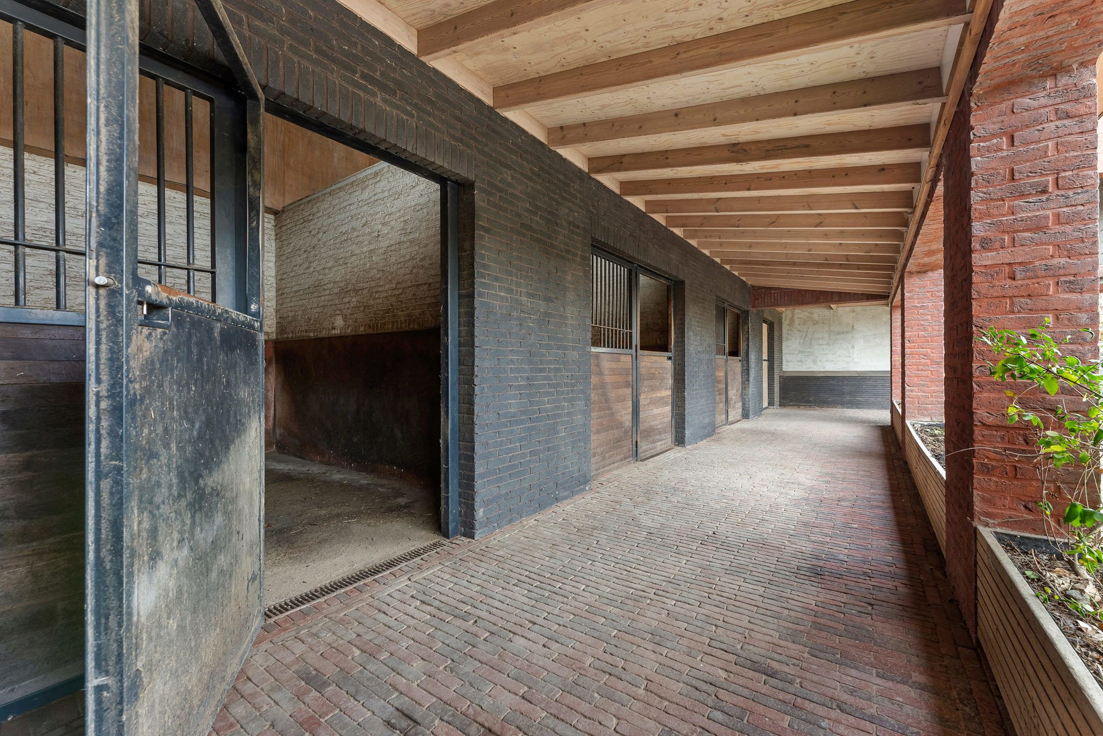 Woning met paardenweide en -piste/bouwgrond op 22a10ca  foto 3