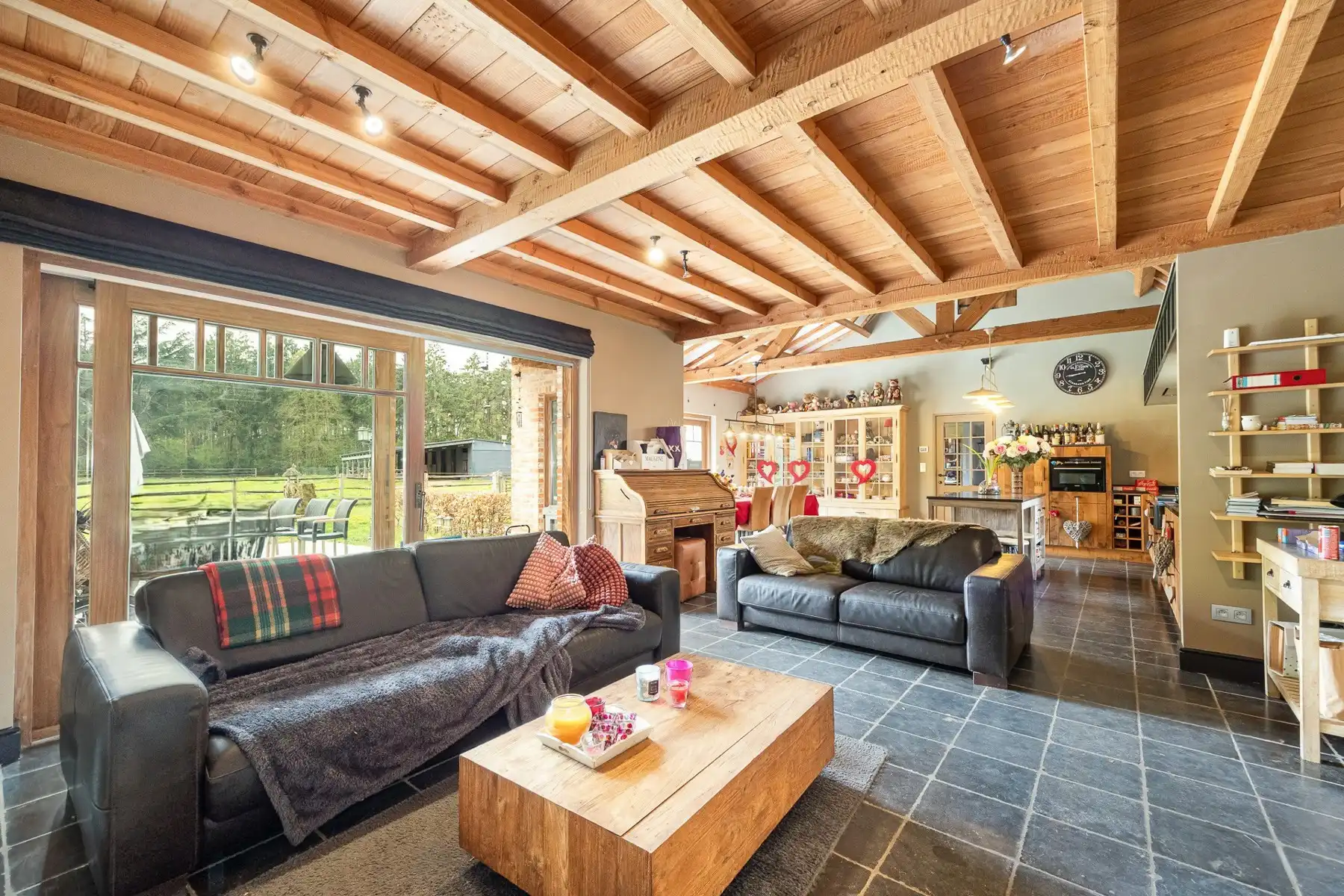 GELIJKVLOERSE WONING, IDAAL VOOR PAARDENLIEFHEBBERS foto 6