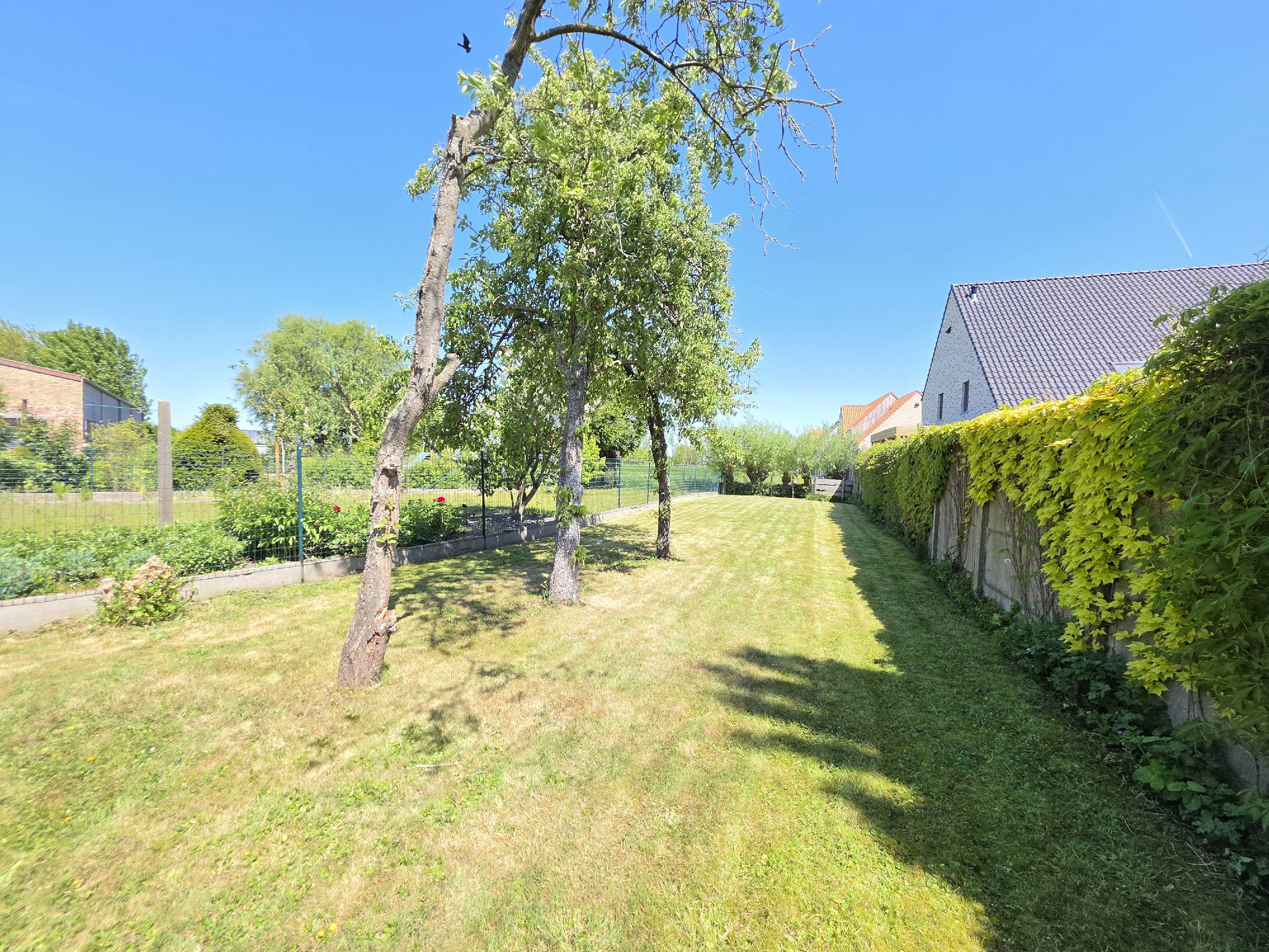 Te renoveren halfopen woning met zonnige tuin te Ramskapelle (Nieuwpoort) foto 12