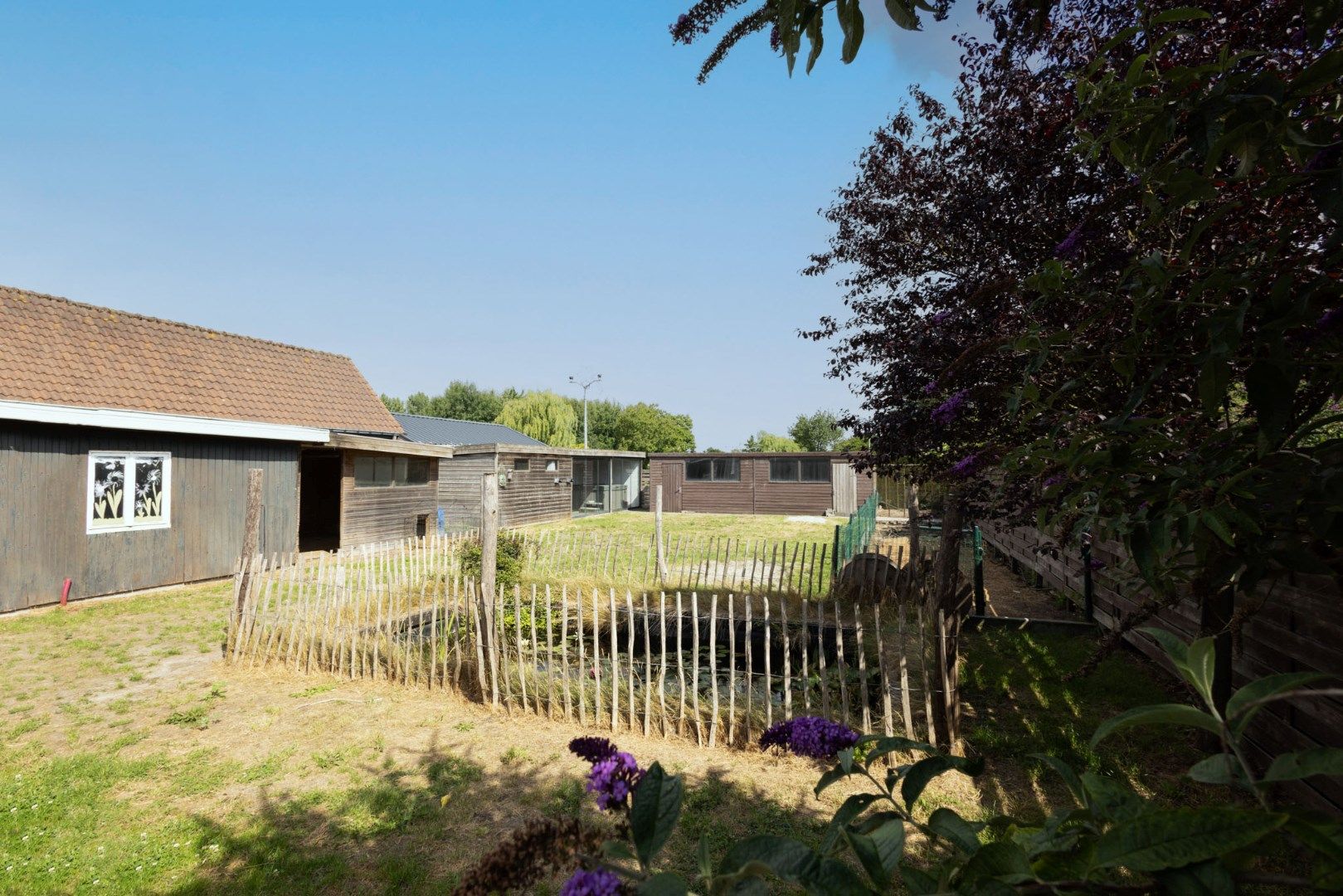 Bungalow met 2 slpks en bijgebouwen landelijk gelegen te Adegem foto 5