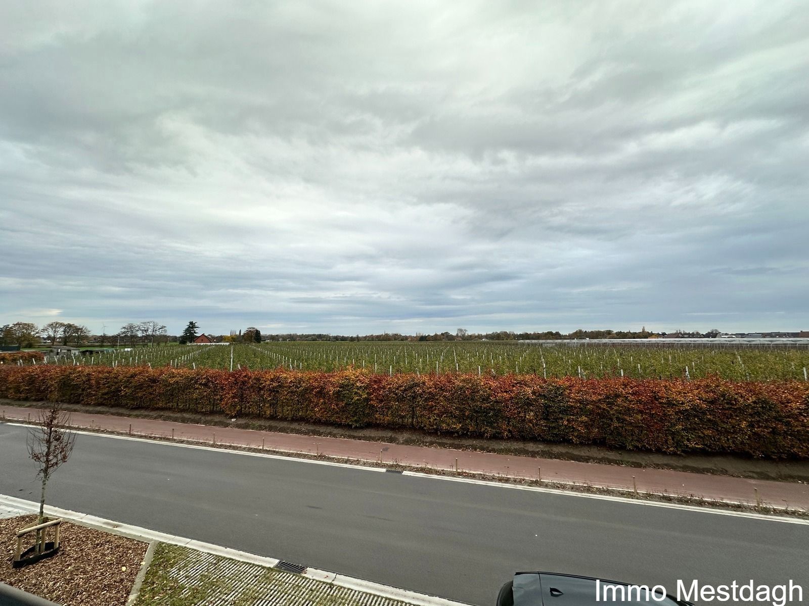 Gerenoveerde instapklare woning met tuin & terras & garages foto 24