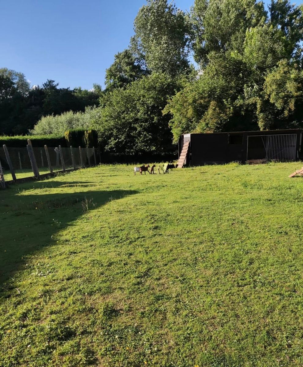 Zeer ruime woning met grote tuin en vrij zicht. foto 35