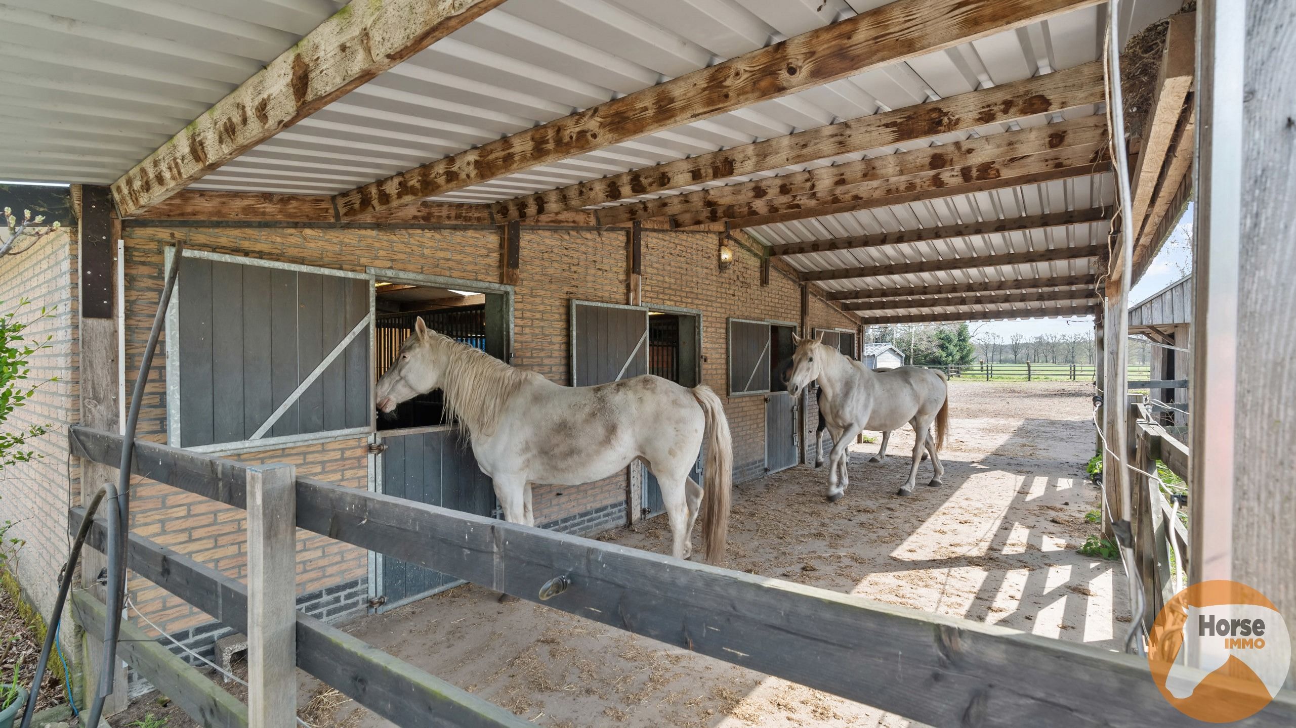 RAVELS - Instapklare woning met loods en stallen op ca.1,6Ha foto 26