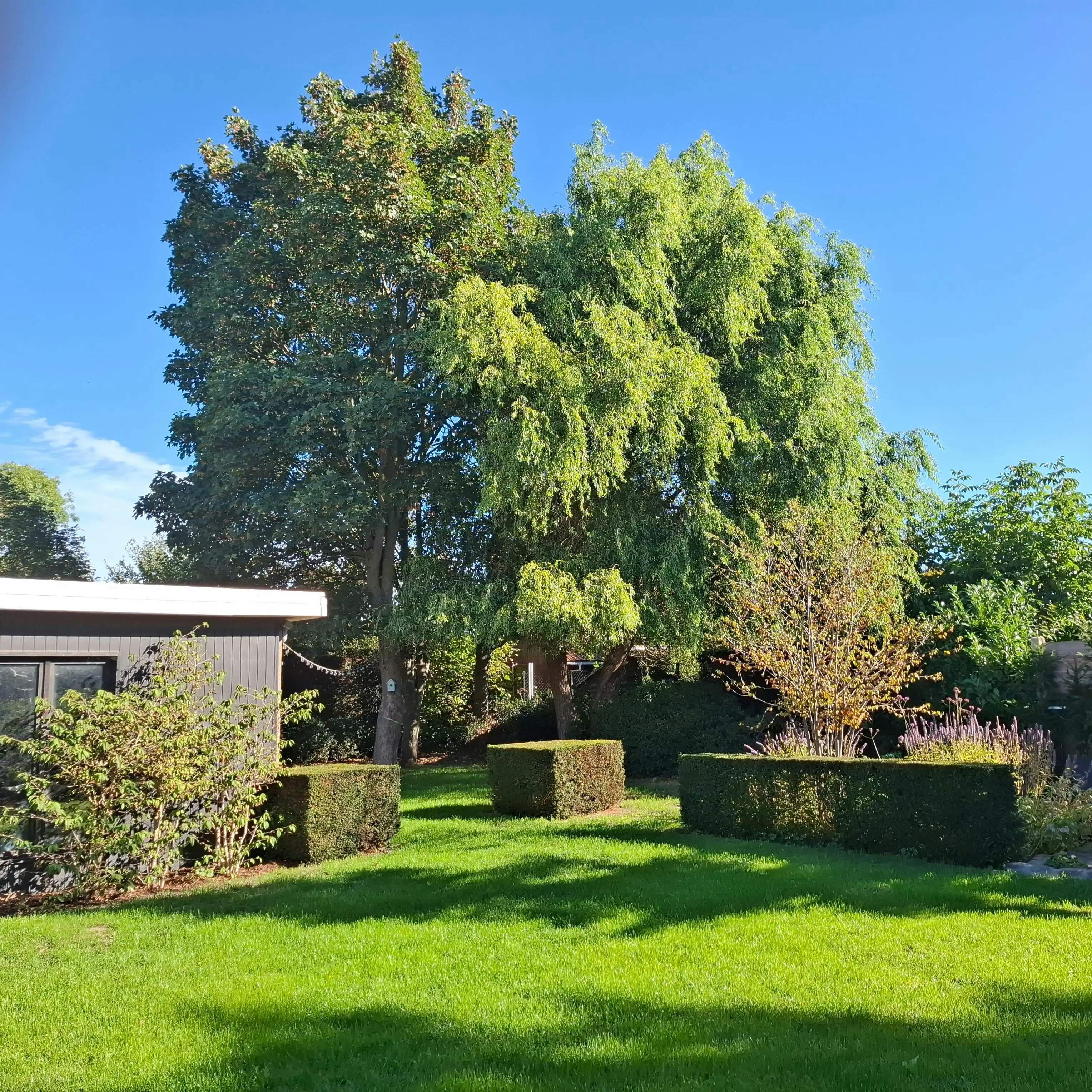 Instapklare bungalow op 898m² te koop in Wevelgem! foto 17