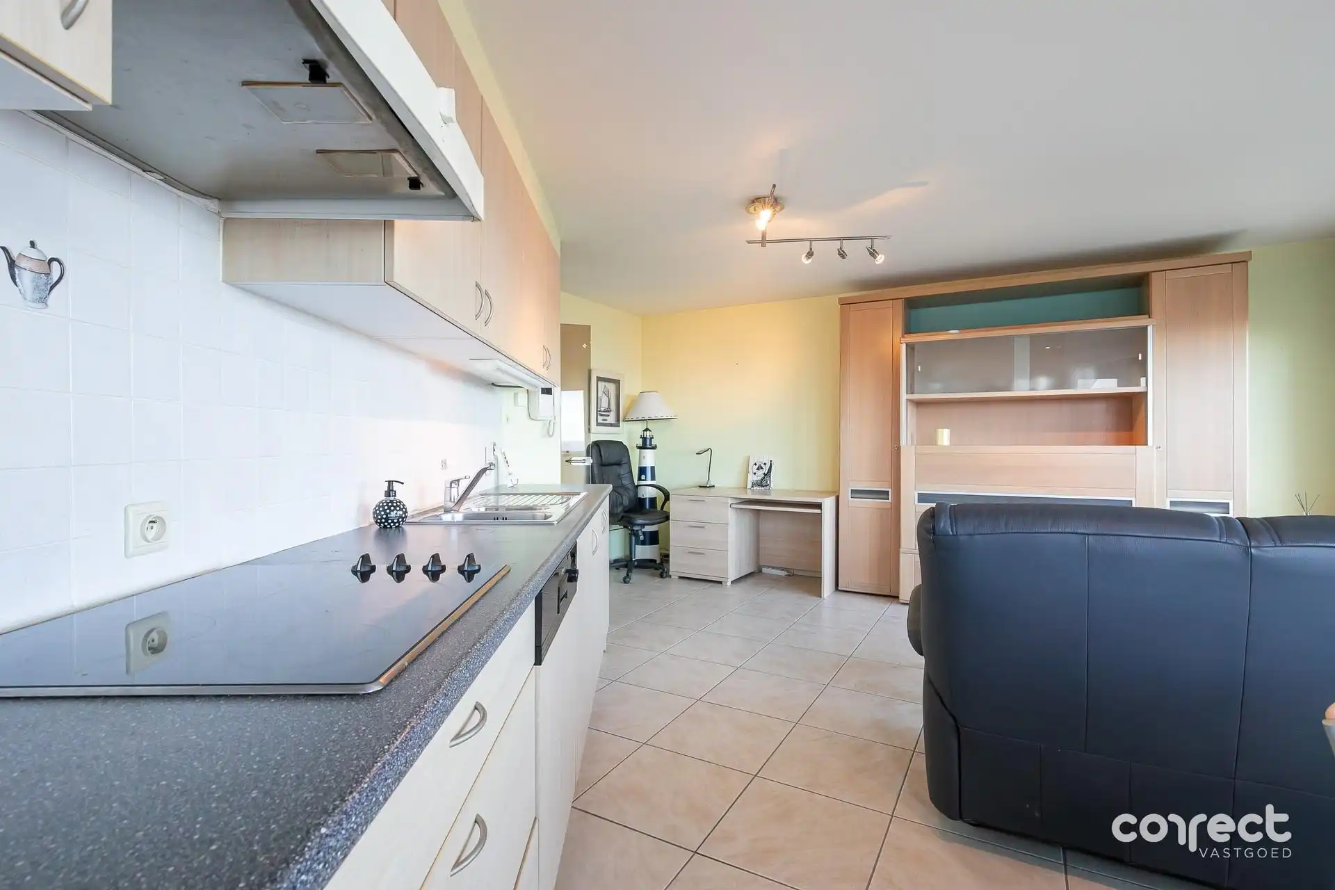 Instapklaar appartement met slaapkamer en open zicht op zee

. foto 4