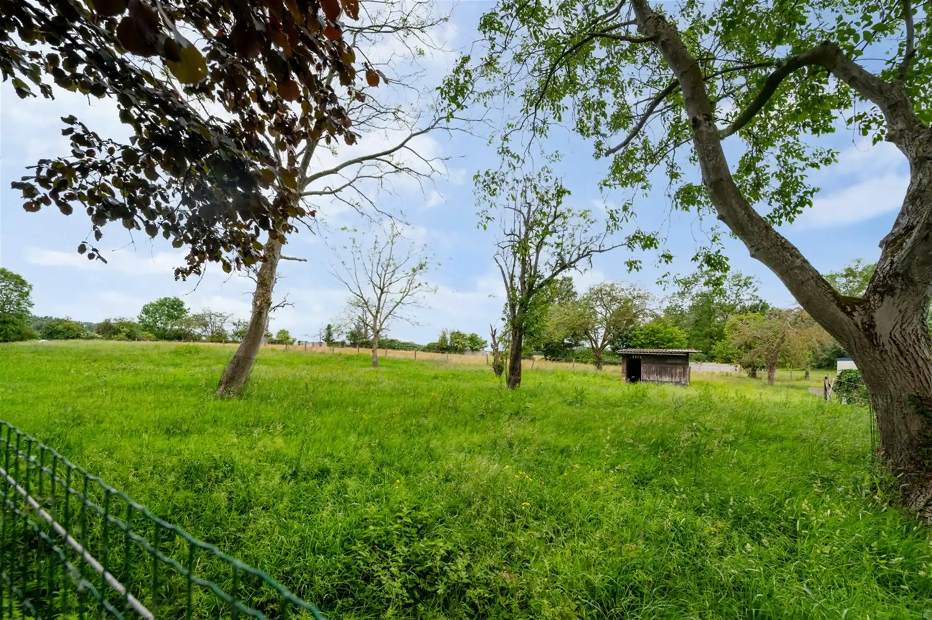 Landbouwgrond 6521m² in het landelijke Kerksken foto 3