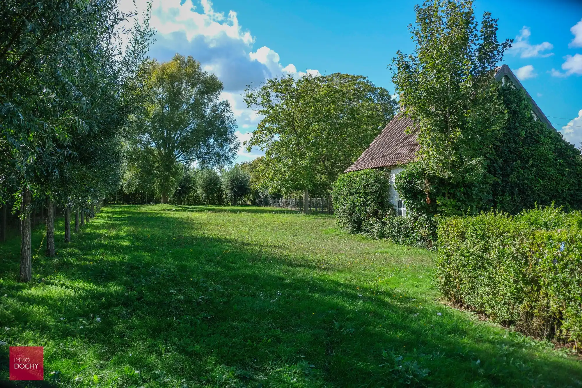 Rustig gelegen te renoveren of opnieuw te bouwen landelijke woning foto 13