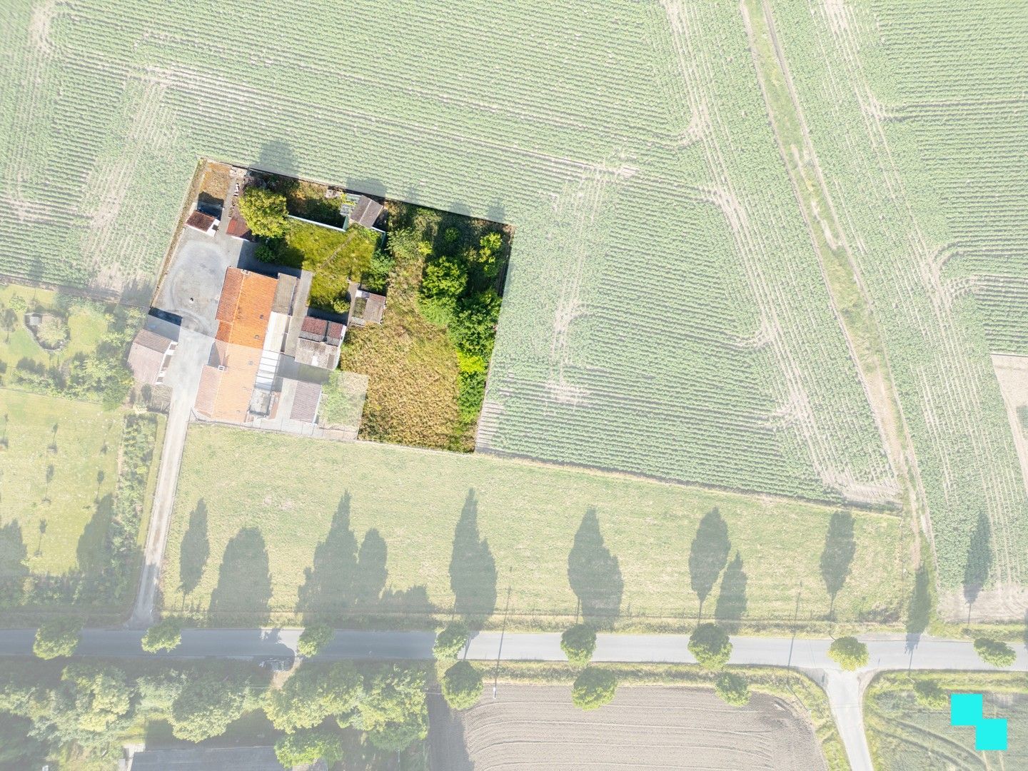 Landelijk te renoveren woning met verzichten foto 9