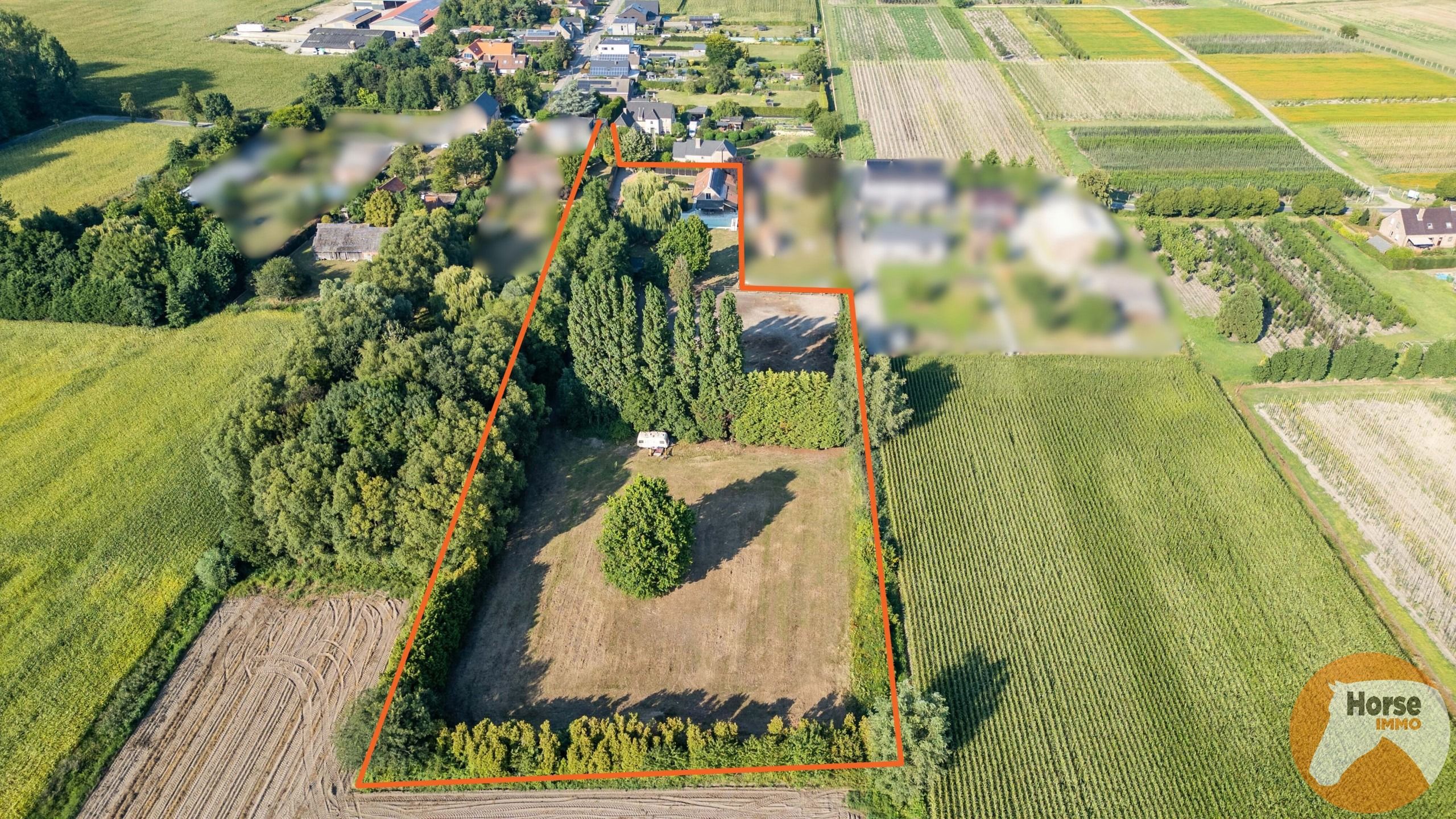 ZELZATE - Landhuis met bijgebouw, zwembad en paardenstallen foto 3