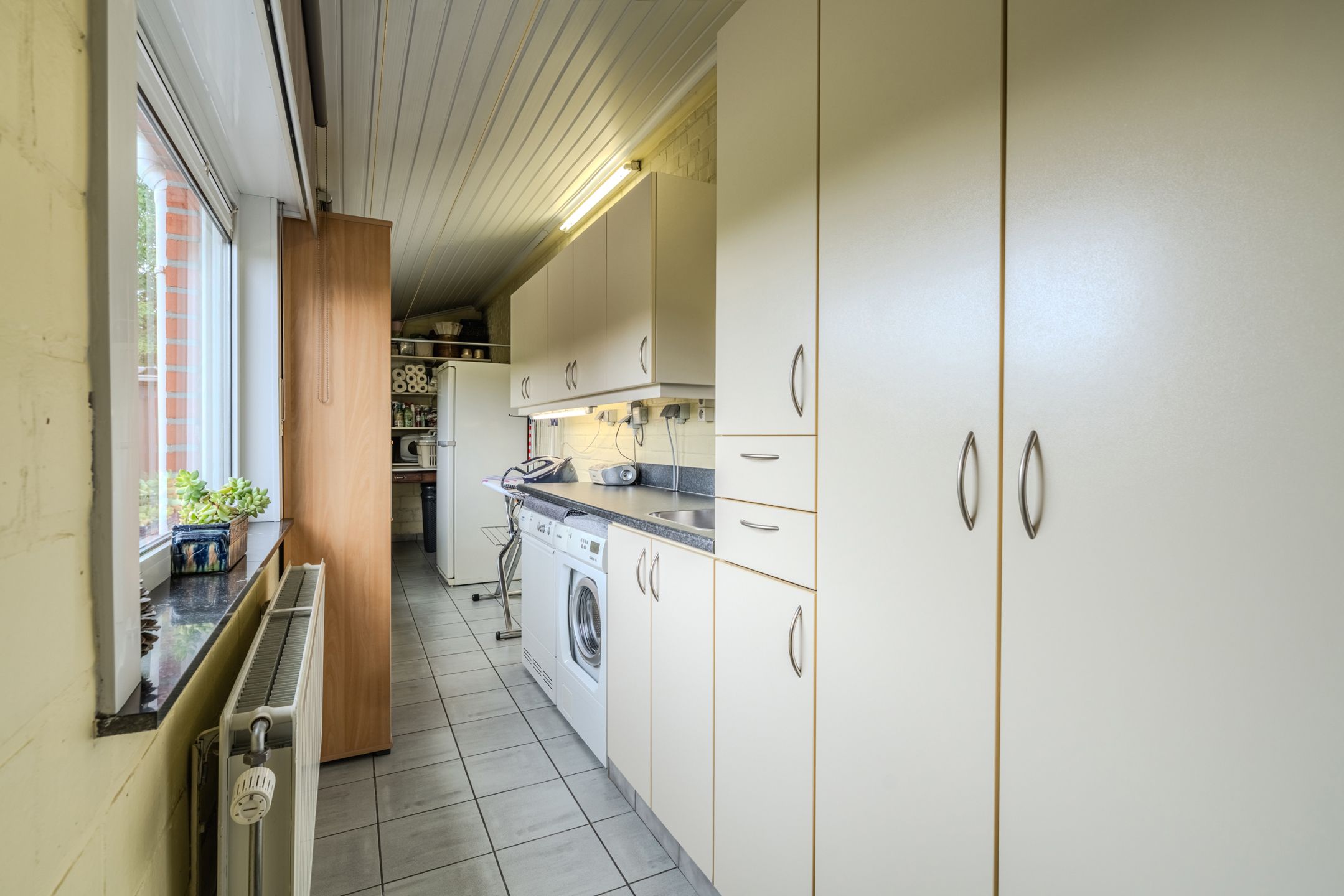 LOODS, BUREAU, WONING, OUDE HOEVE & BOUWGROND! foto 24