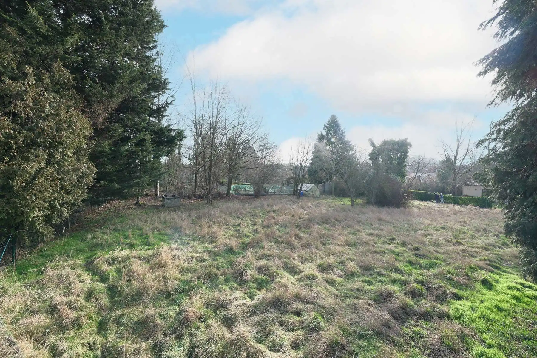 Huis te koop foto 30