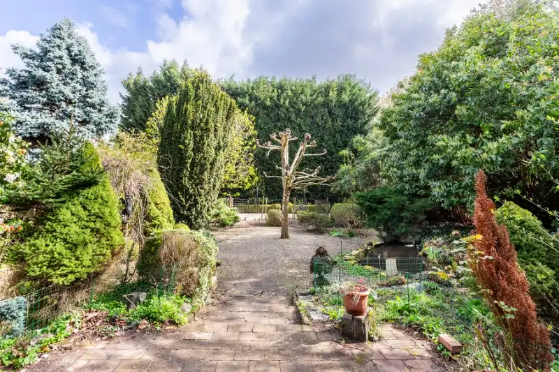 Karaktervolle, cottage villa in een oase van groen, na renovatie een parel! foto 6