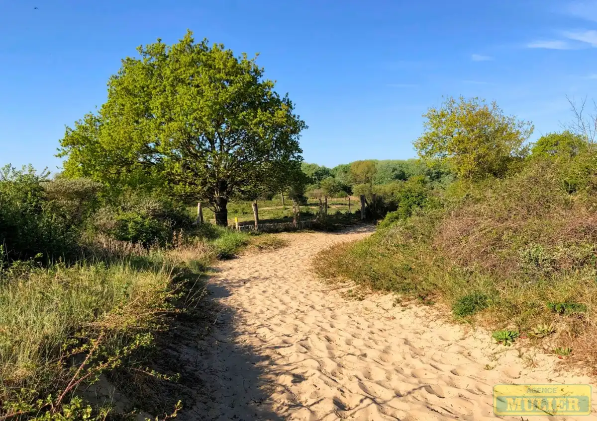 Huis te koop foto 16