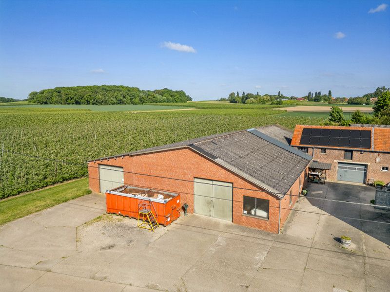 Grote loods op een perceel van 16are foto 19