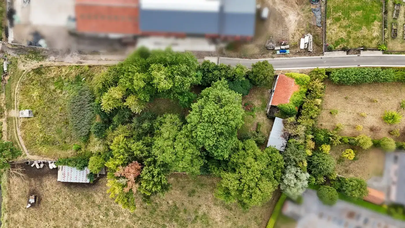 Open bebouwing in Linter met groot perceel en tuin foto 28