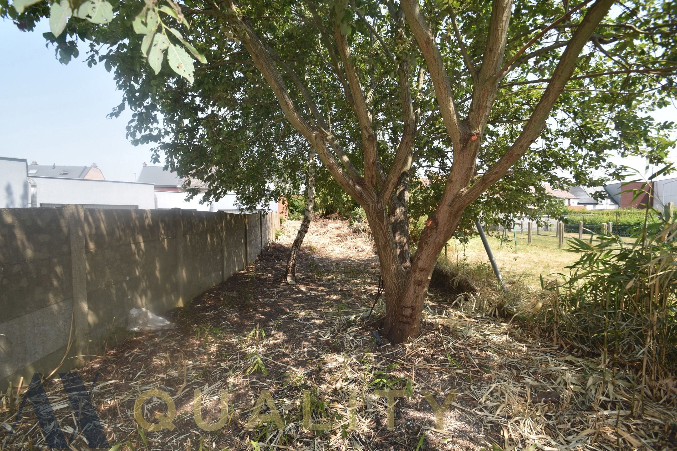 Nabij het centrum van Lebbeke gelegen te renov. rijwoning of bouwgrond op een terrein van 2 are 80 ca.  foto 7