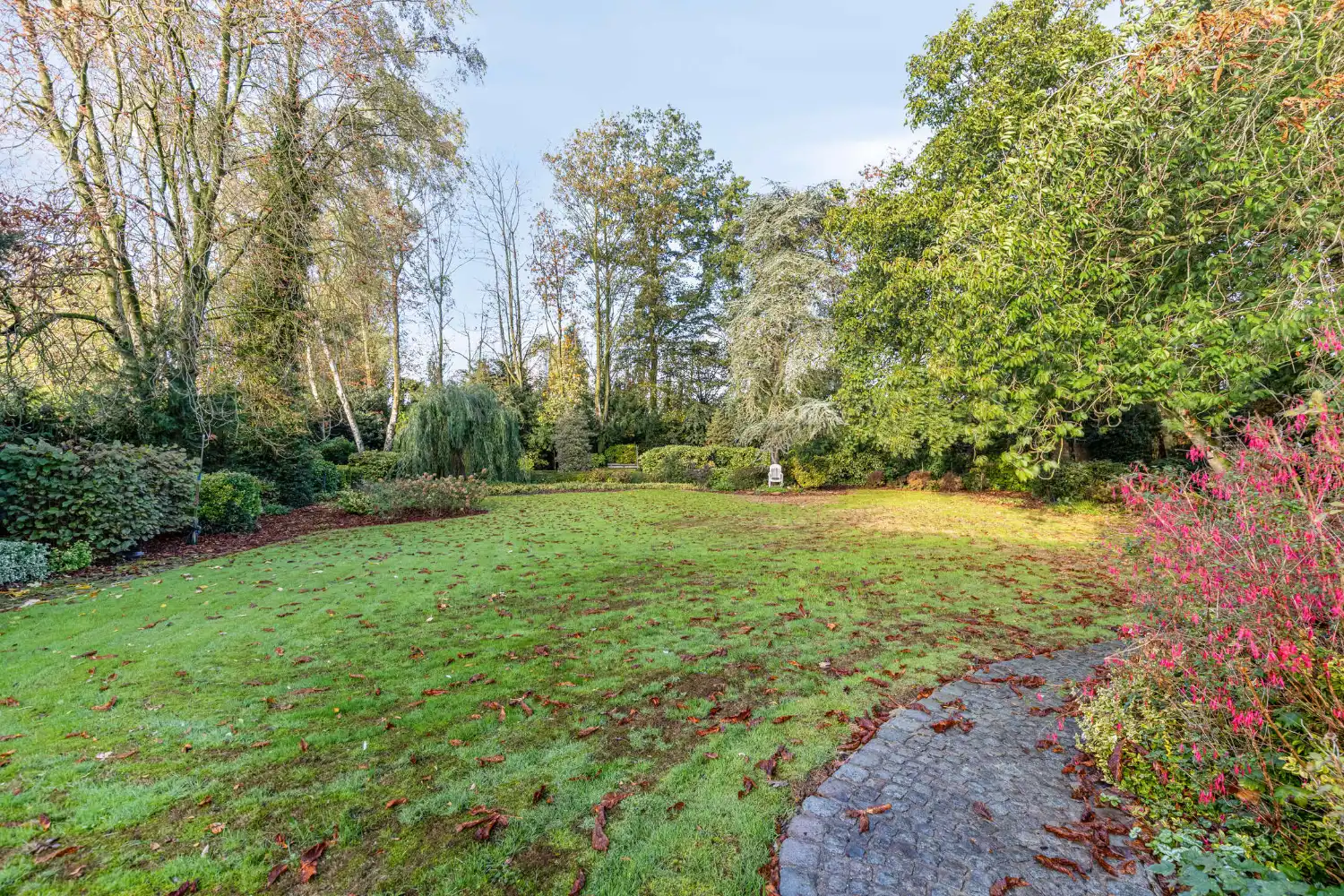 Uniek perceel met villa, loods en uitbreidingsmogelijkheiden foto 27