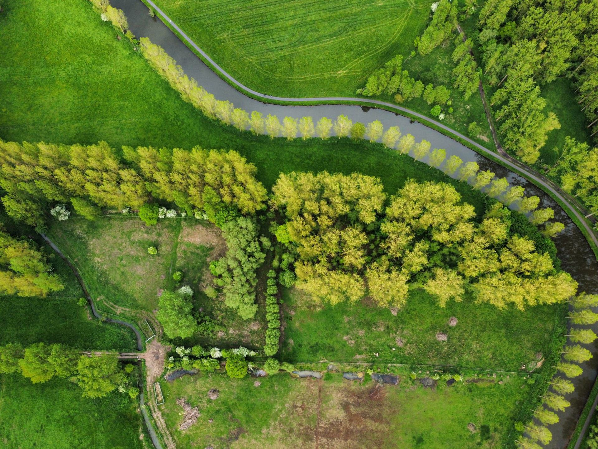 Natuurgebied te koop te Appelterre-Eichem (Ninove) foto 2