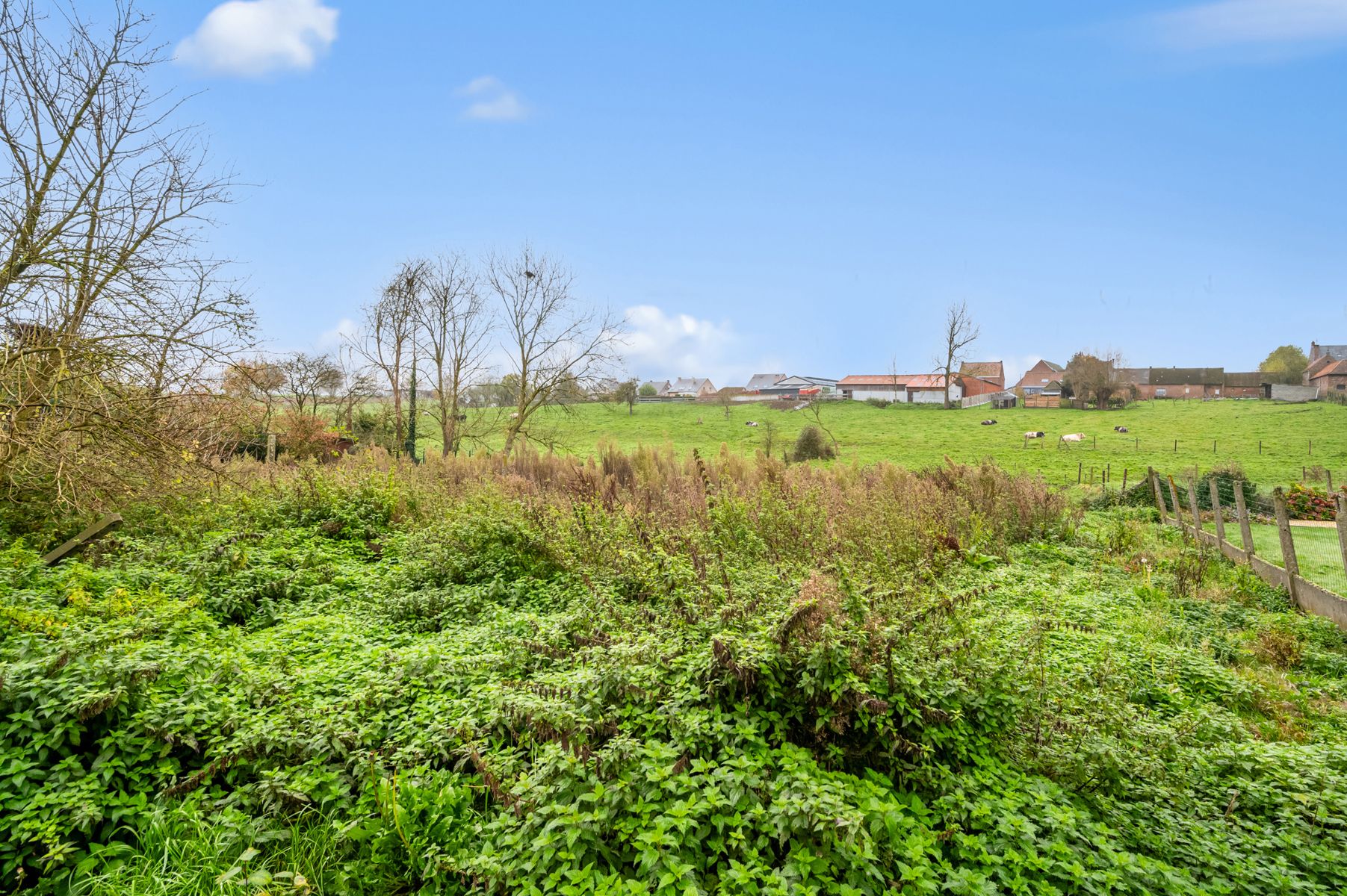 Bouwgrond voor 3-4 loten in Steenhuize (Herzele) foto 7