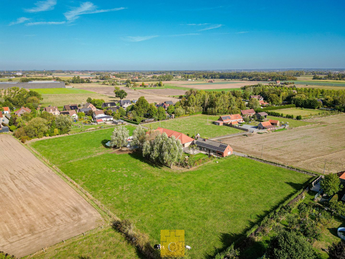 Boerderij met nieuwbouwloods (+400M2) en woning op 11.776 m² foto 5