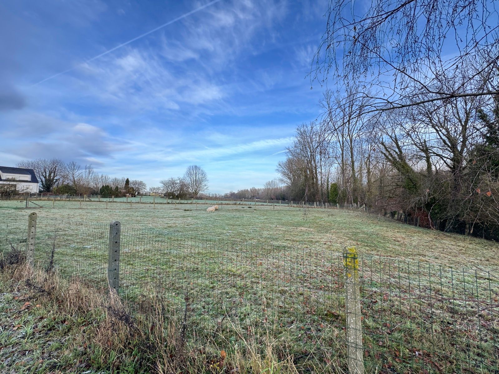 Perceel weide met een oppervlakte van 7a 13ca foto 2