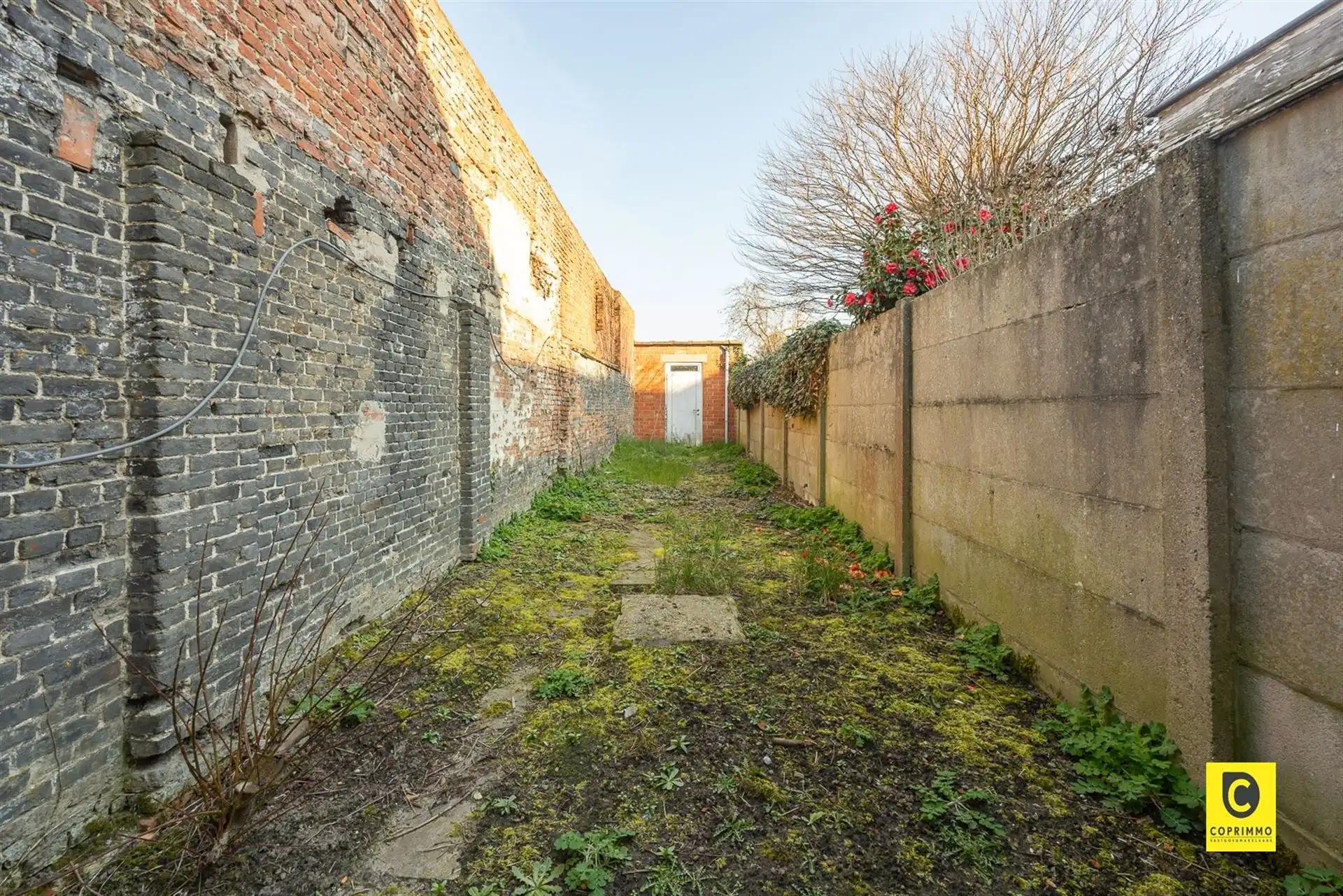 Handelspand in centrum van Niel  foto 7