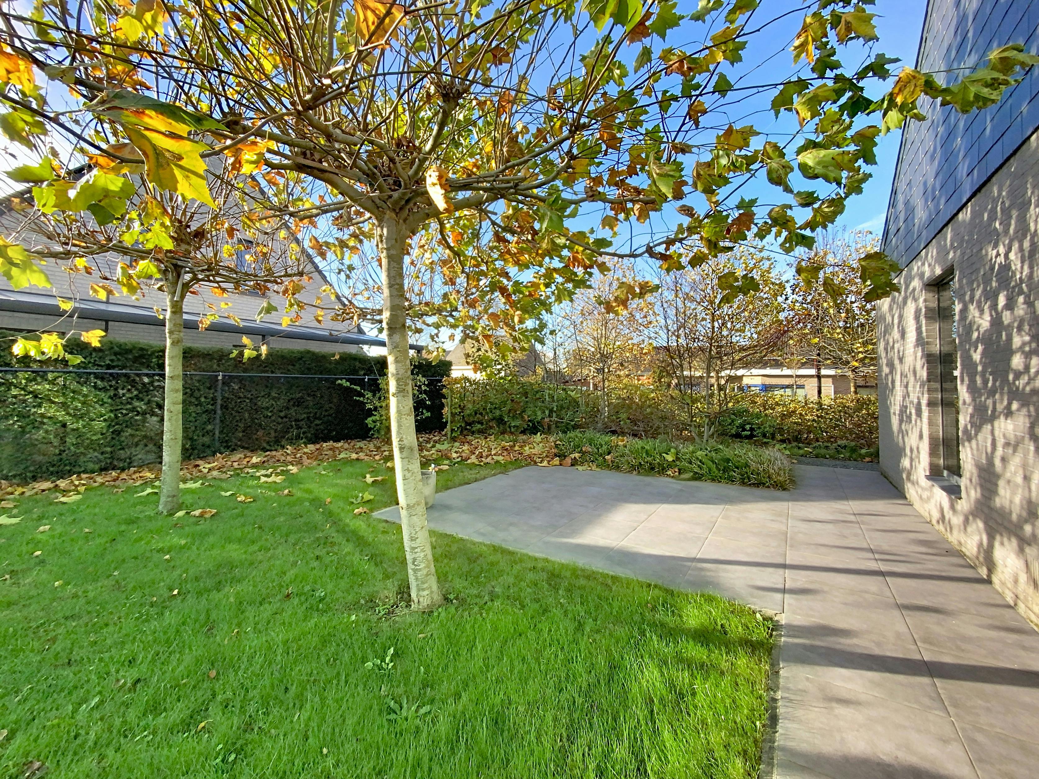 Instapklaar huis met 4 slaapkamers en ruime tuin in Kluisbergen foto 8