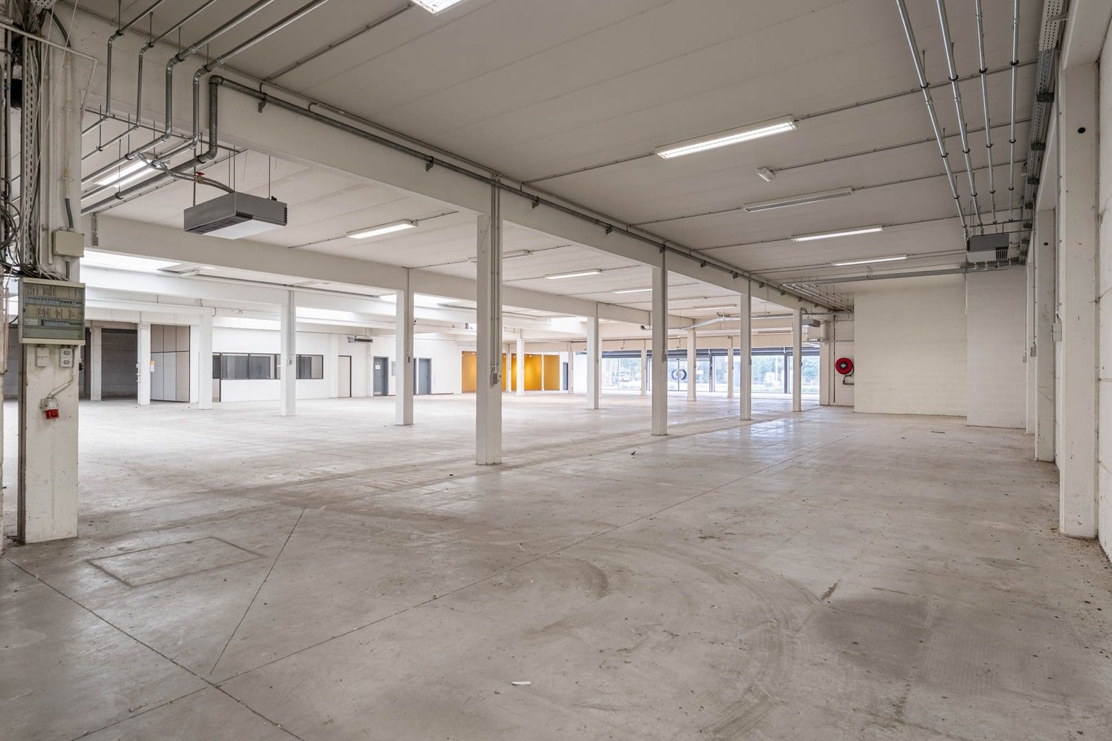 Bedrijfsgebouw (showroom/magazijn) met appartement gelegen op een perceel van 33a 50ca! foto 5