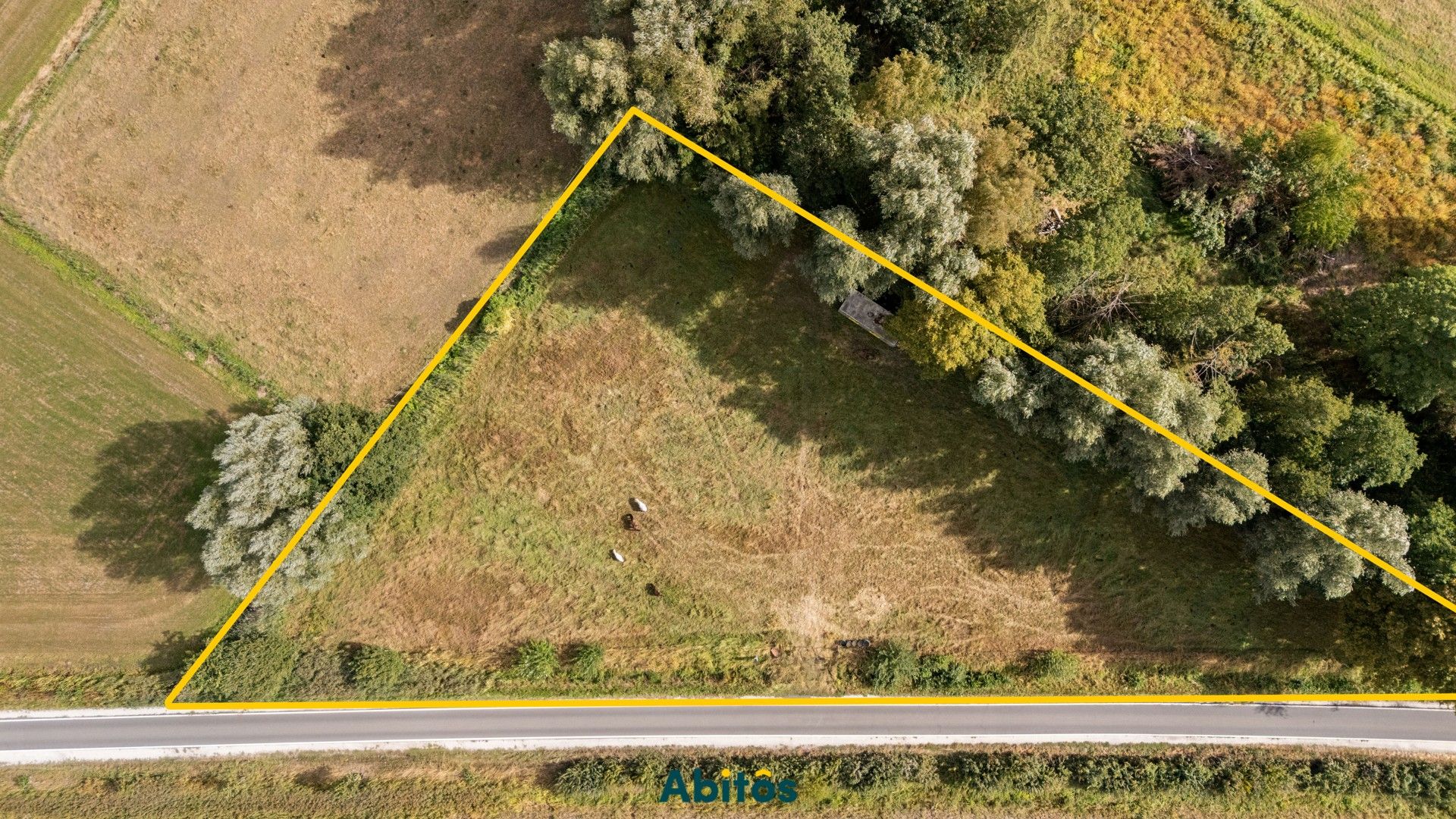 Unieke weide van 3.465 m² – ideaal voor paardenliefhebbers foto 5