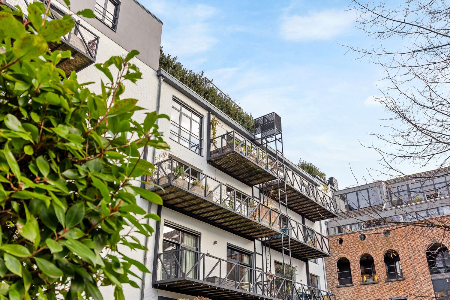 Uitzonderlijke loft 200m² + aangelegde daktuin, terras en 2 optionele garages in rustig, groen woonerf op de grens Borgerhout/Antwerpen foto 2