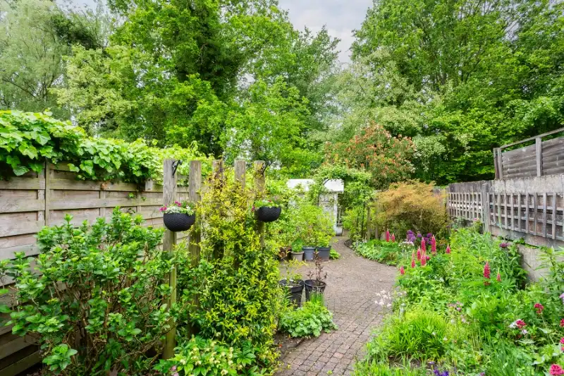 Gezellige gezinswoning met fijne tuin. foto 15