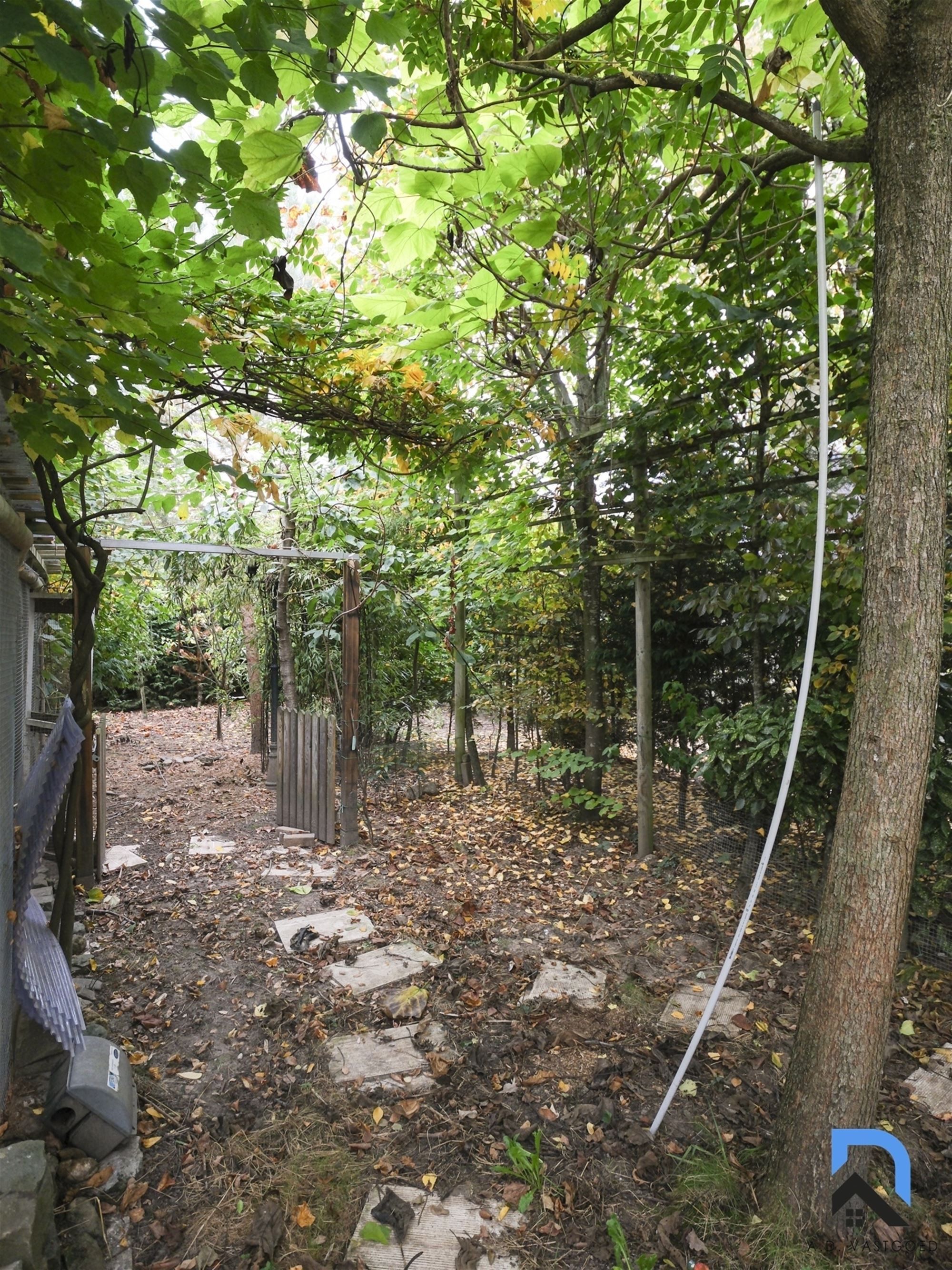 Ruime vrijstaande woning in Eigenbilzen foto 25