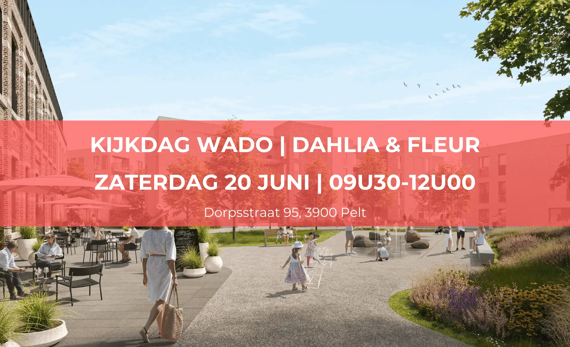 Project Dorpsstraat - 3900 Overpelt
