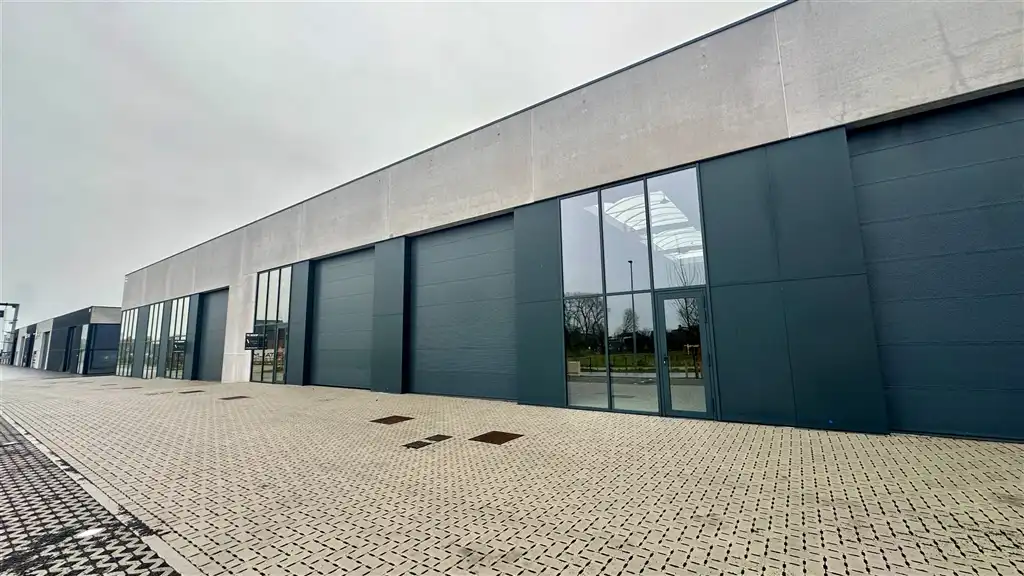RIVA VOLUS DENTERGEM foto 4