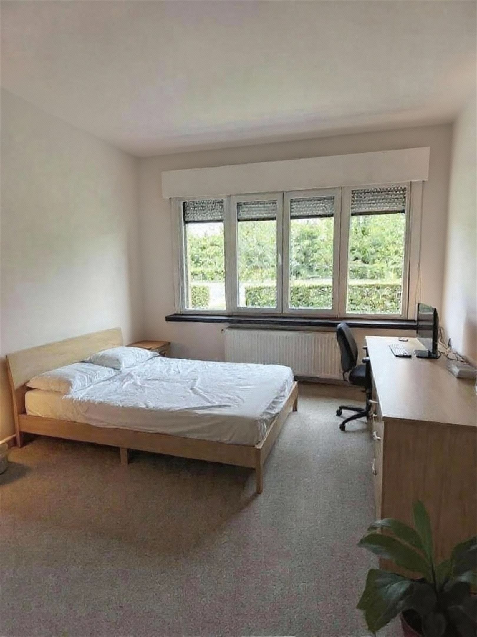 Flat/studio foto 4