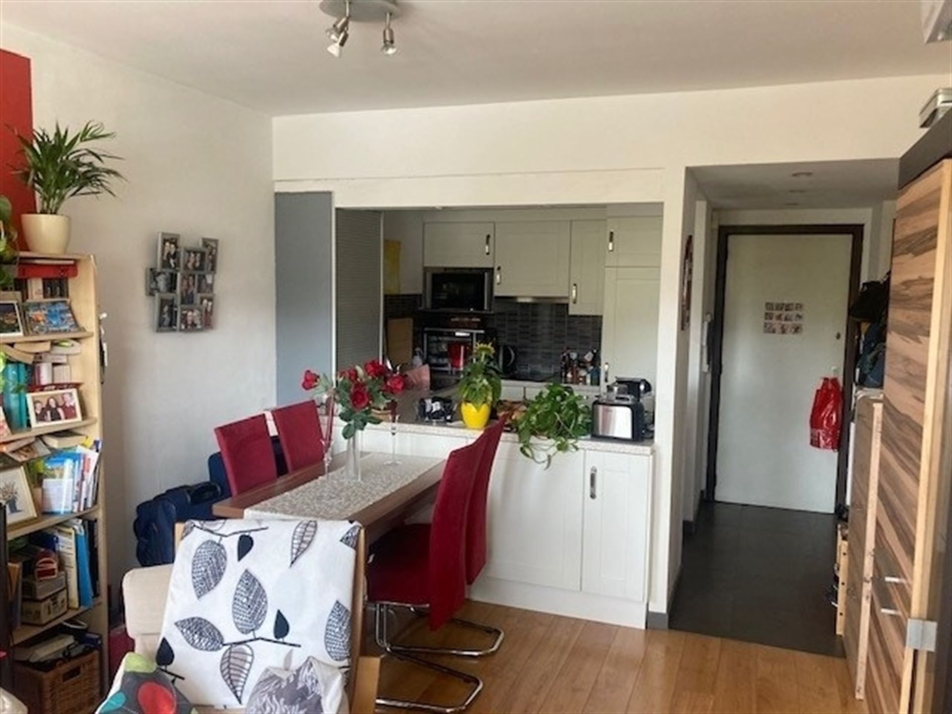 Lichtrijk 1 SK appartement - EU wijk  foto 2